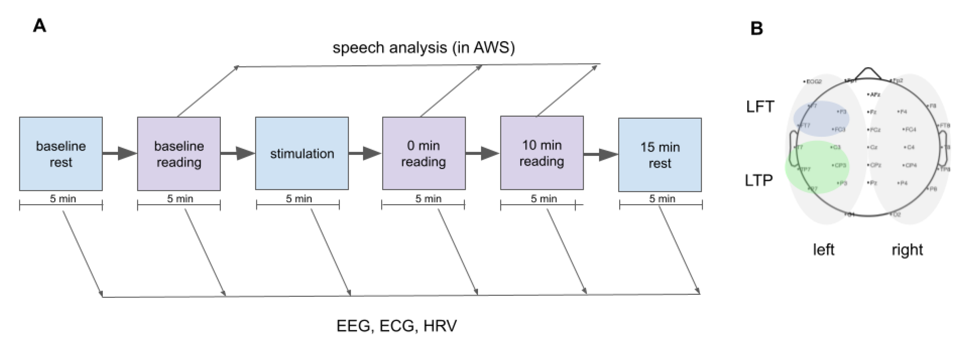 Brainsci 13 00309 g001 Brainsci 13 00309 g001