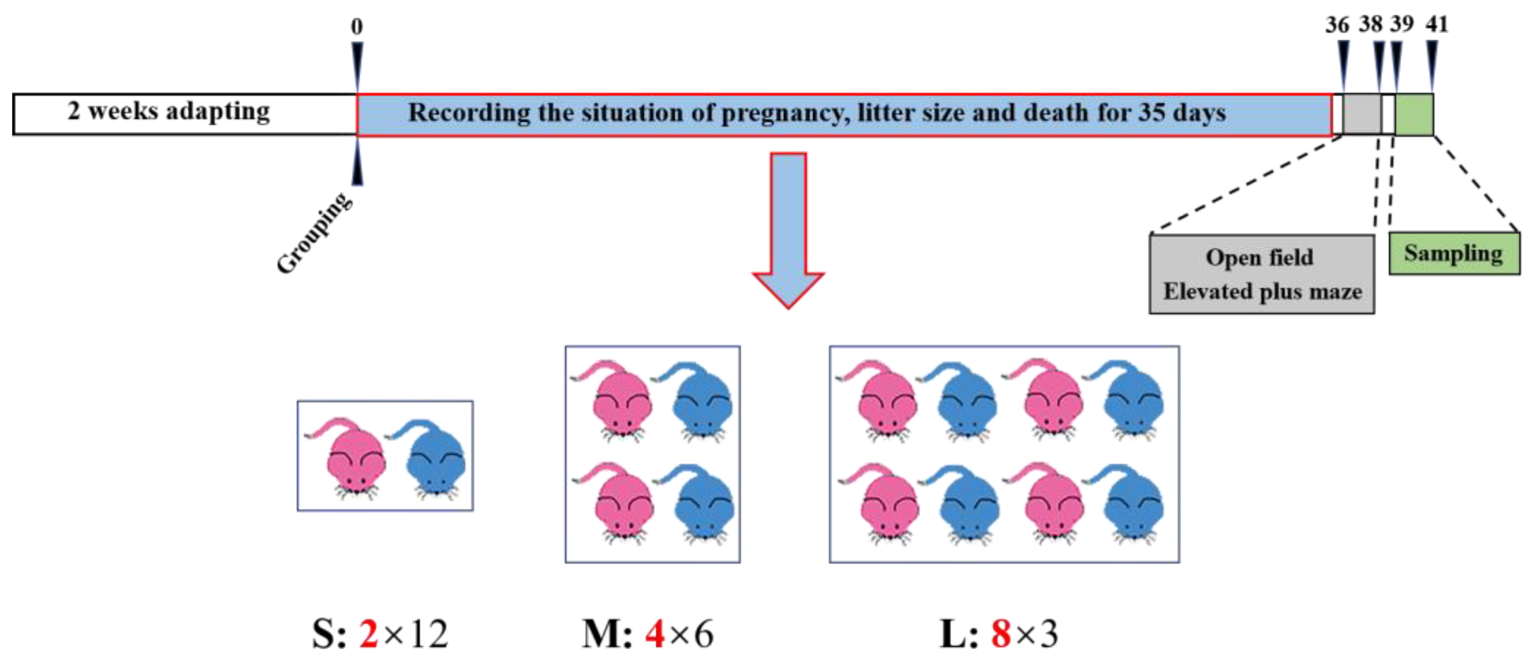 Brainsci 13 00311 g001