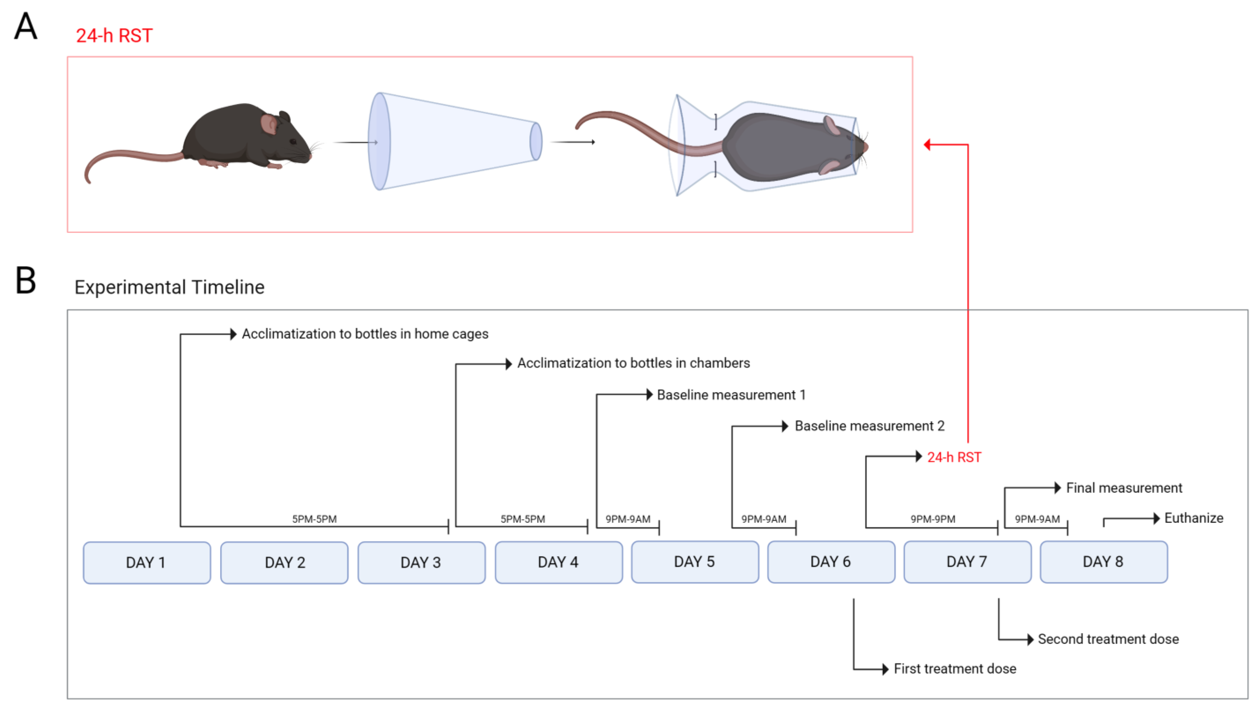 Brainsci 13 00314 g001 Brainsci 13 00314 g001