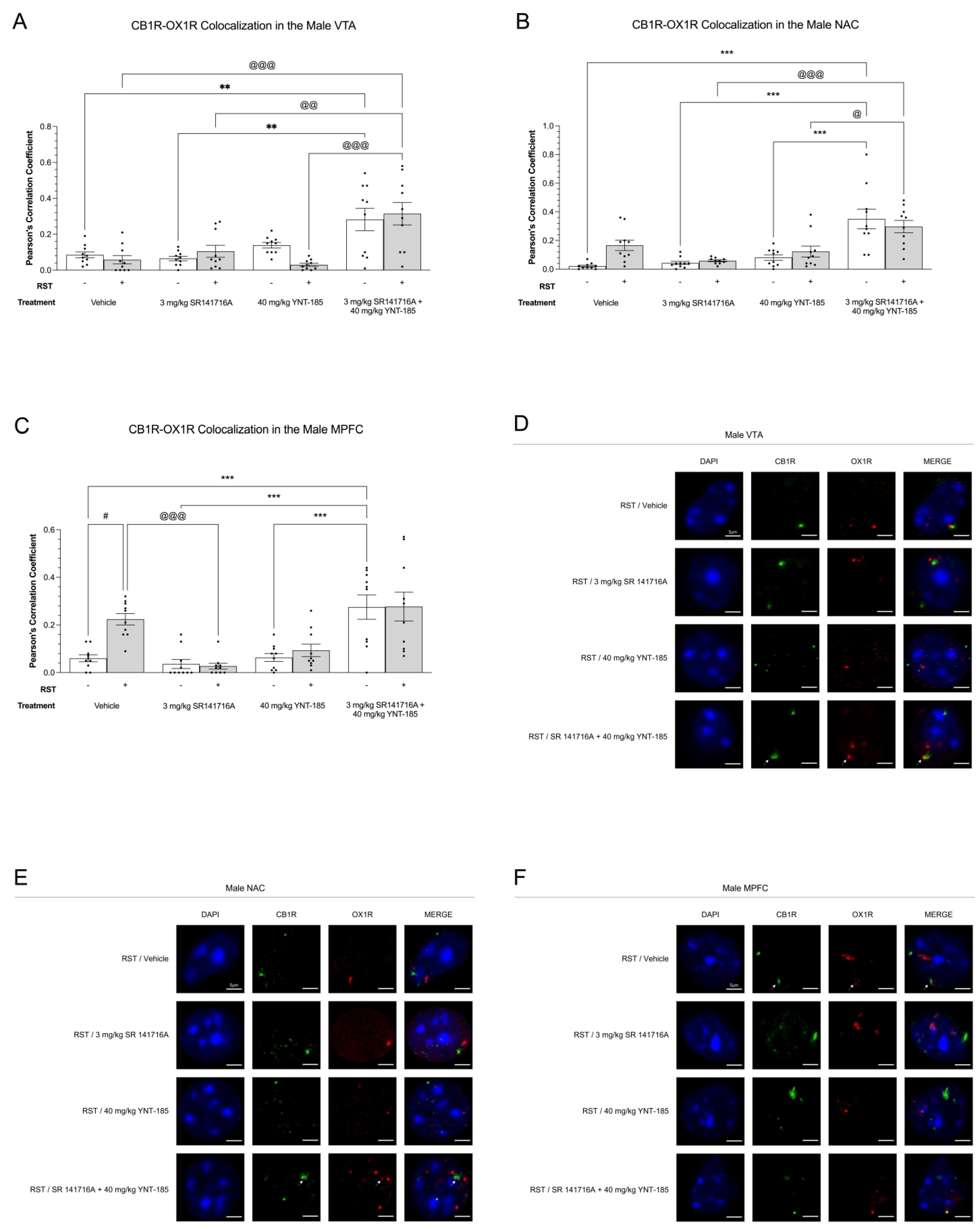 Brainsci 13 00314 g005 Brainsci 13 00314 g005