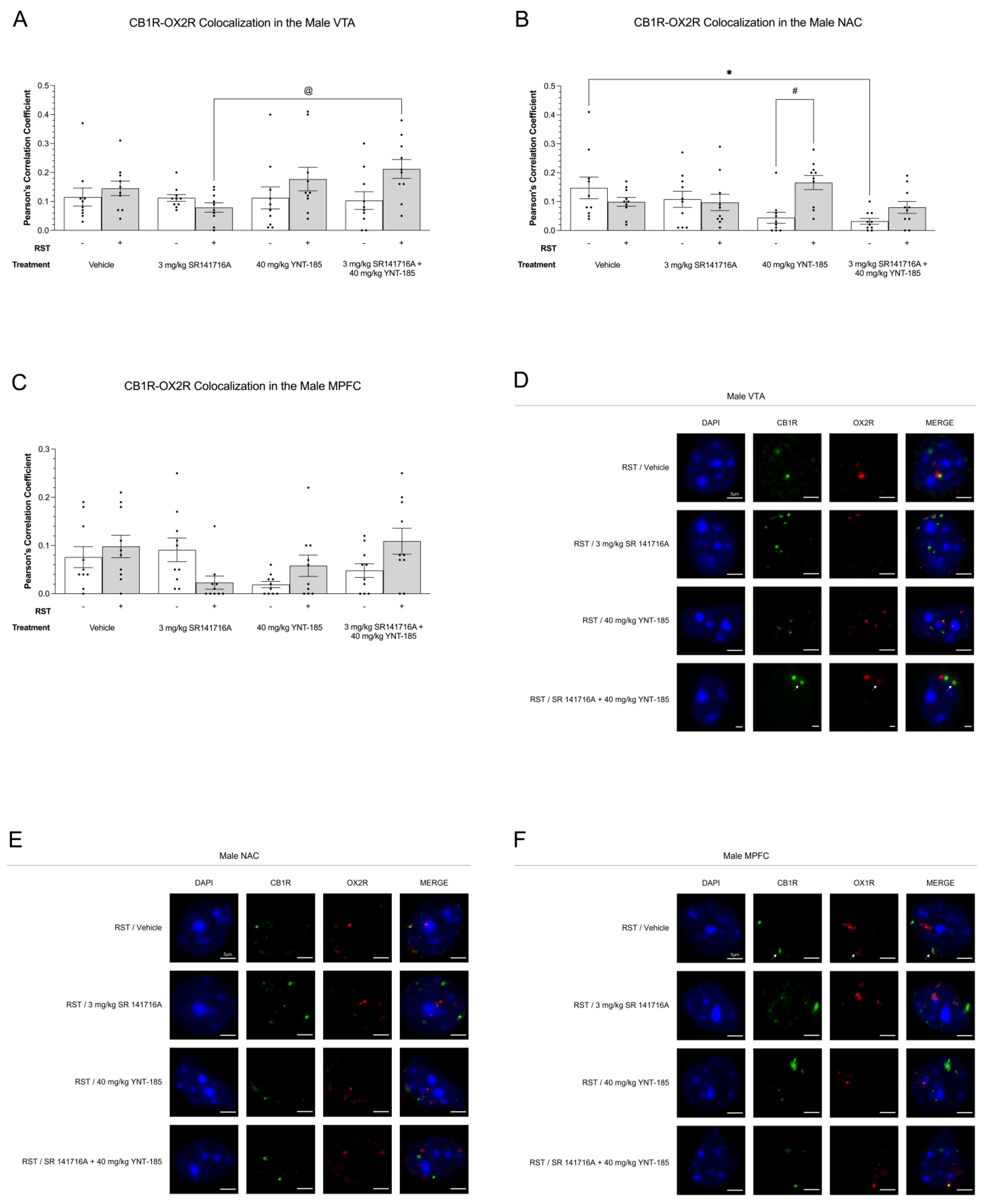 Brainsci 13 00314 g006 Brainsci 13 00314 g006