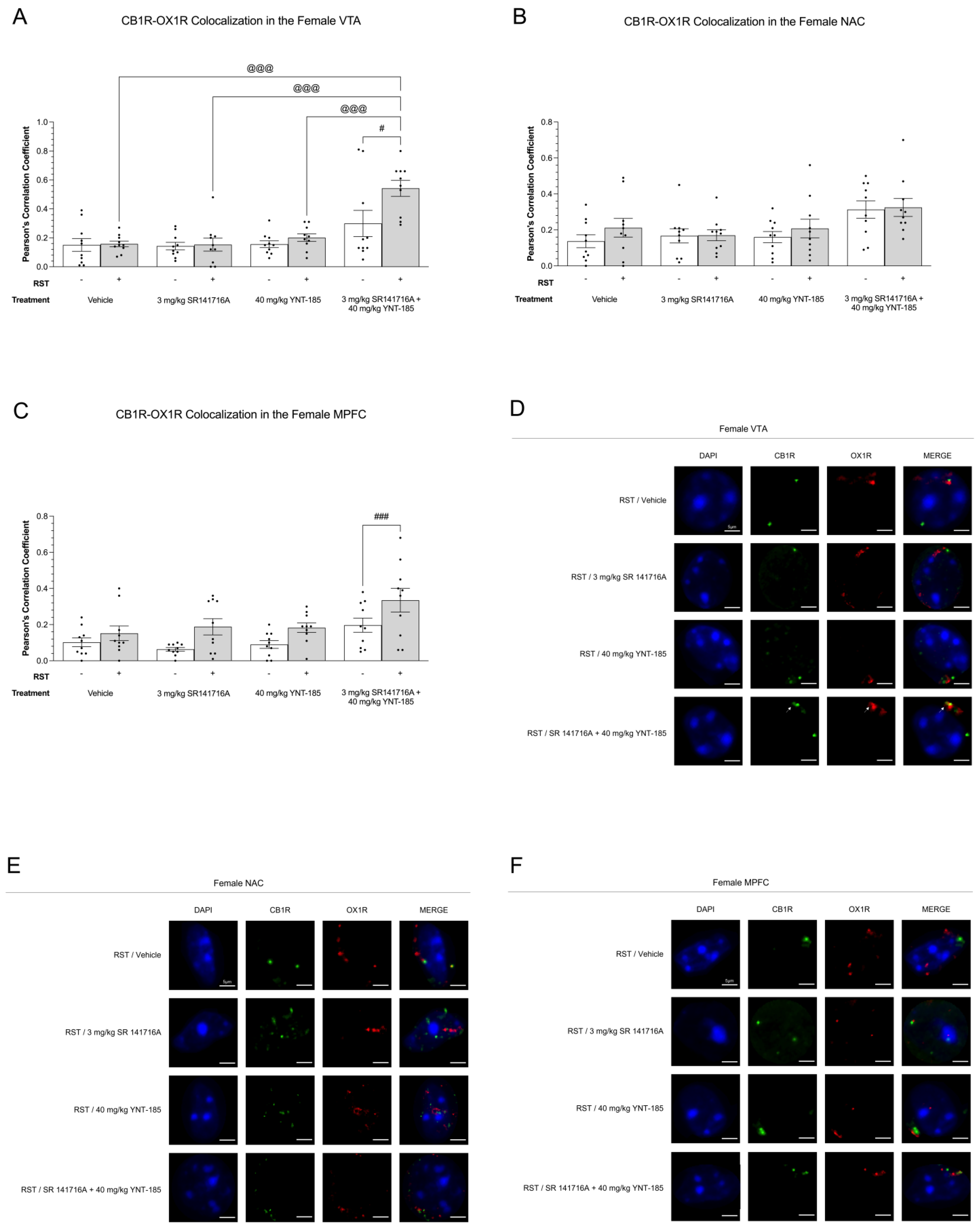 Brainsci 13 00314 g007 Brainsci 13 00314 g007