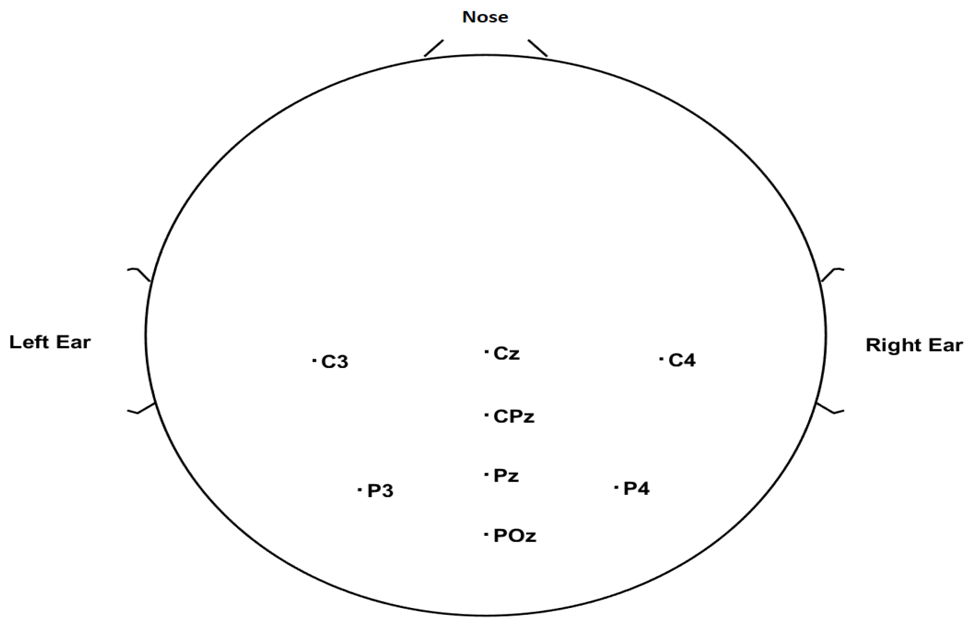 Brainsci 13 00315 g002