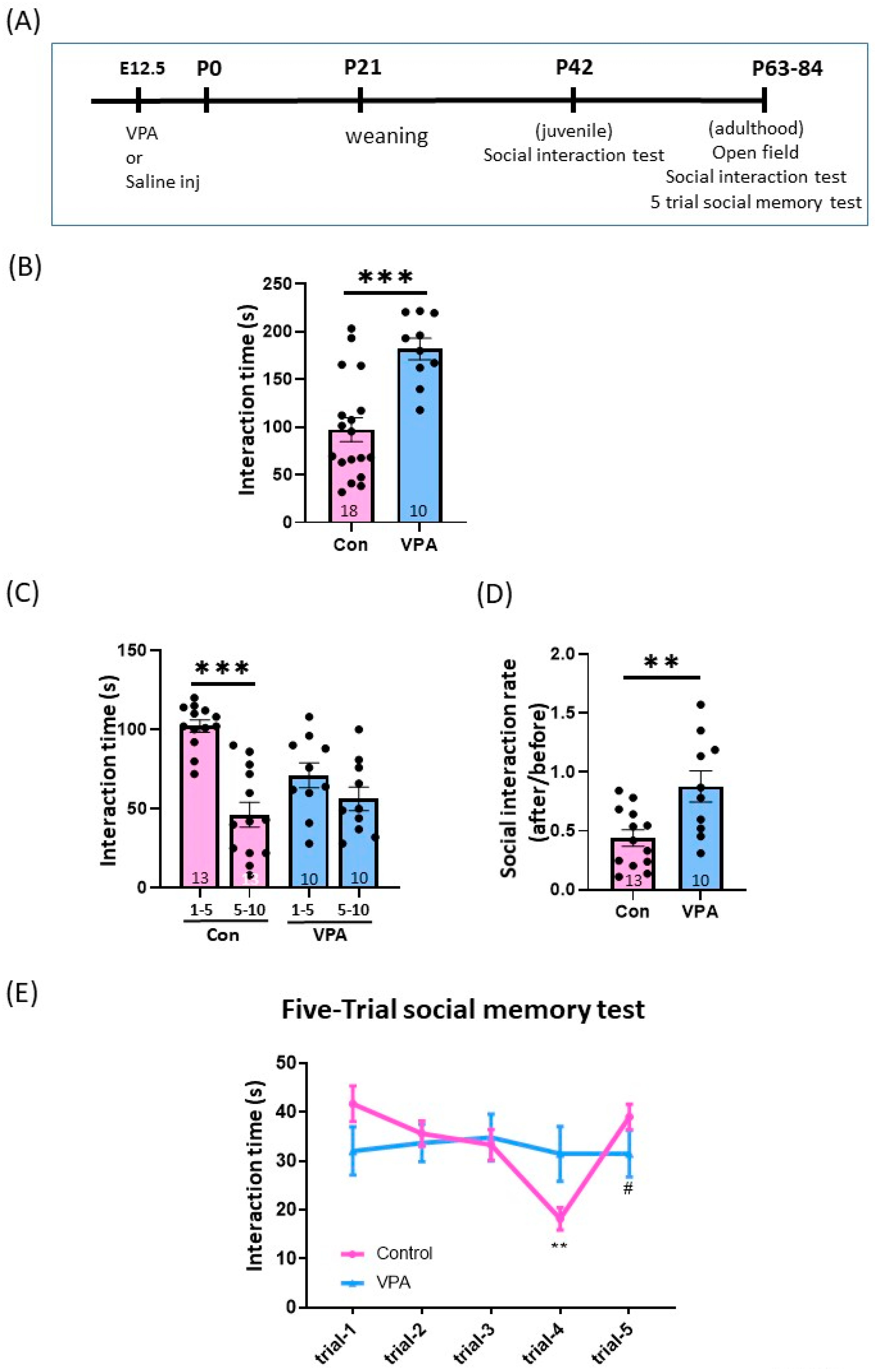Brainsci 13 00316 g001