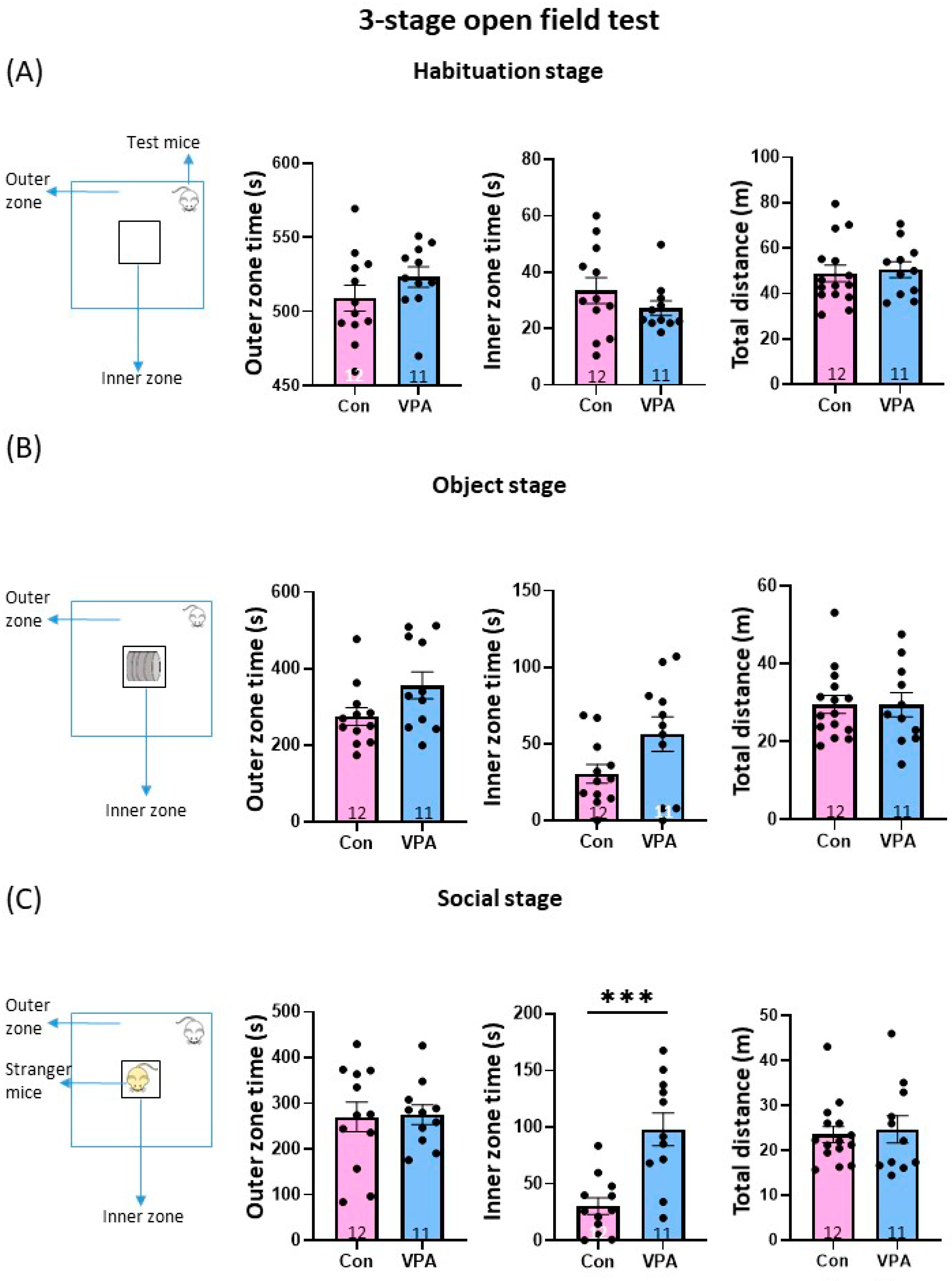 Brainsci 13 00316 g002