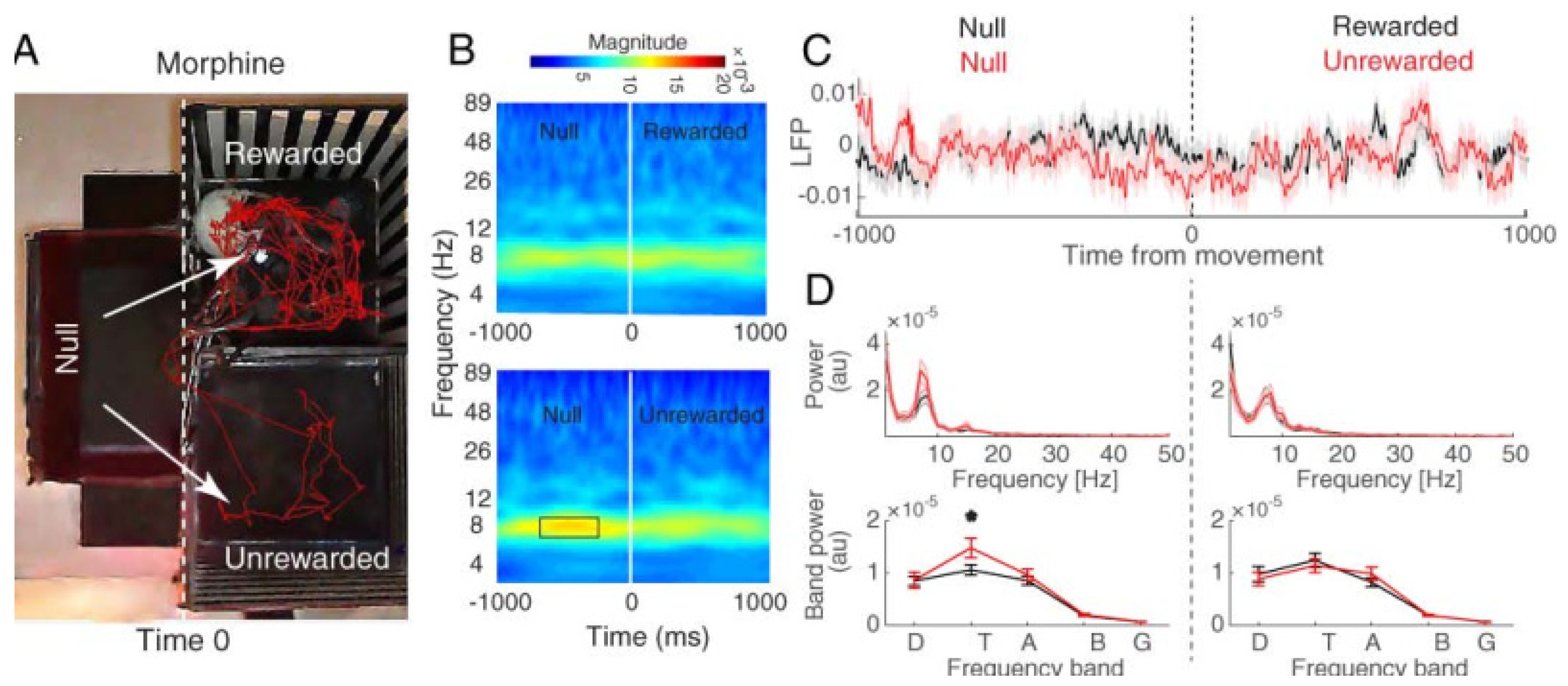 Brainsci 13 00322 g004