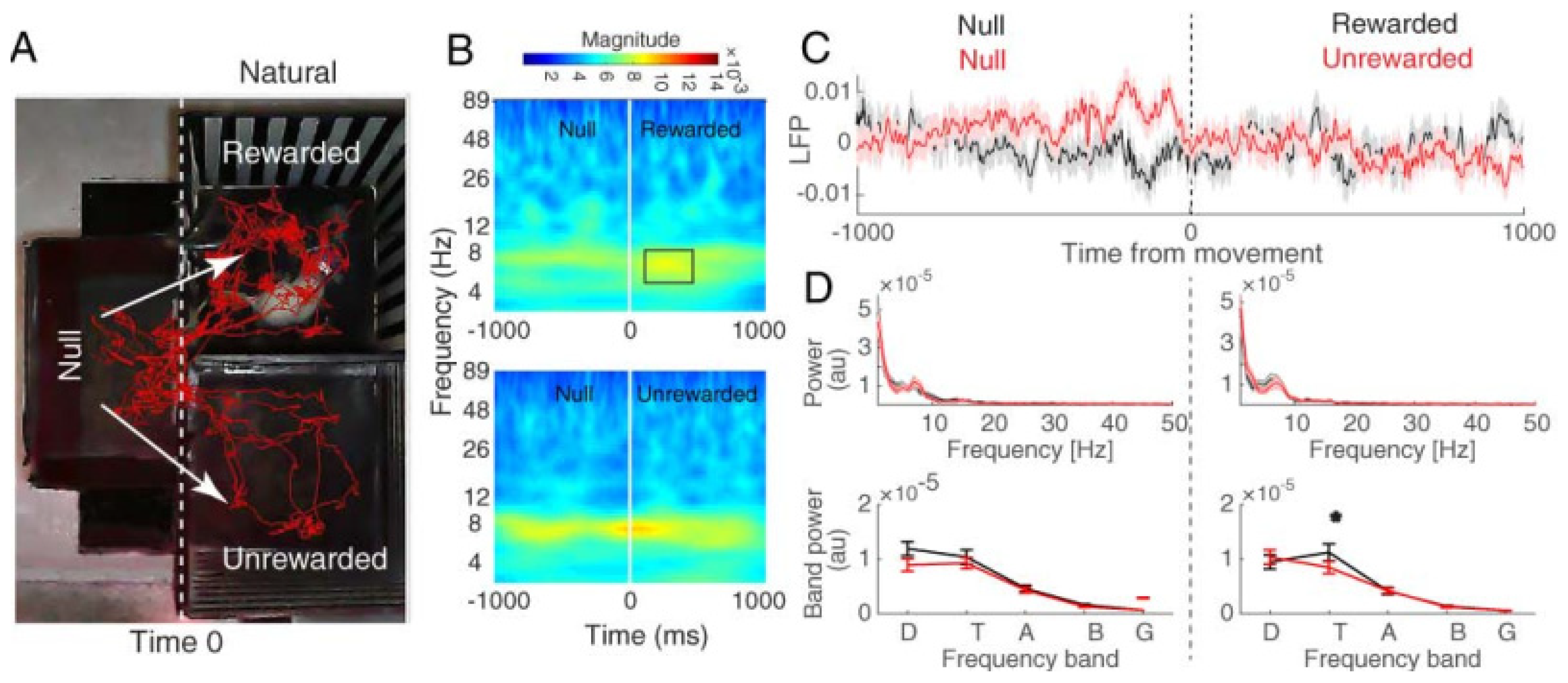 Brainsci 13 00322 g005