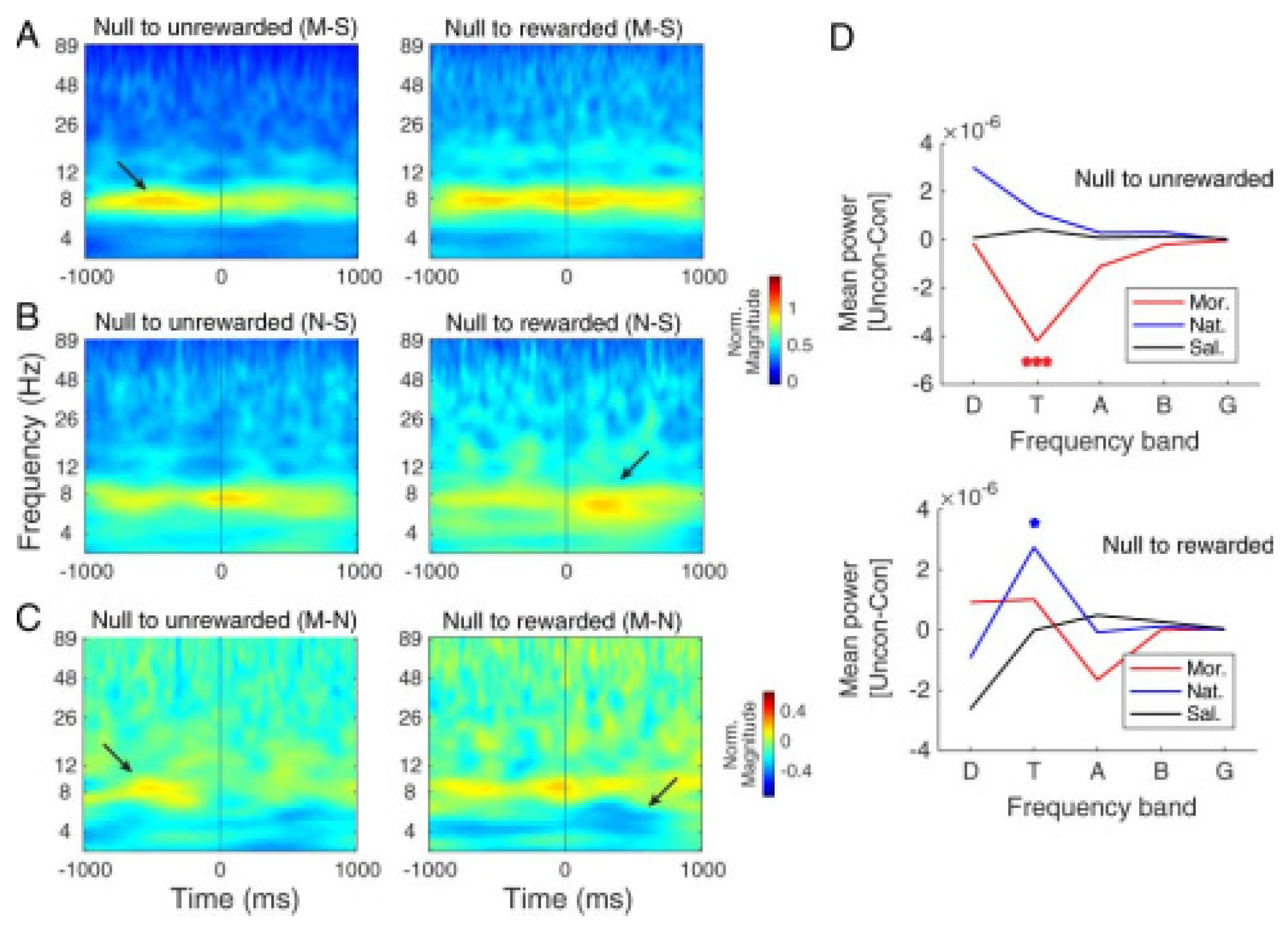 Brainsci 13 00322 g006