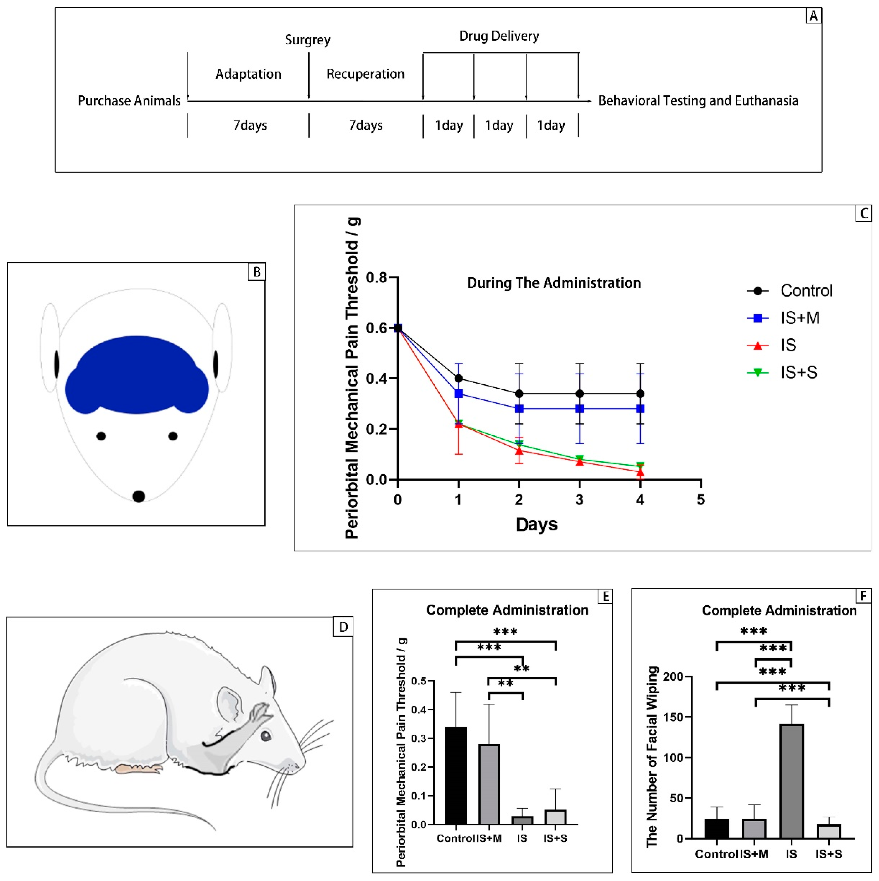Brainsci 13 00331 g001