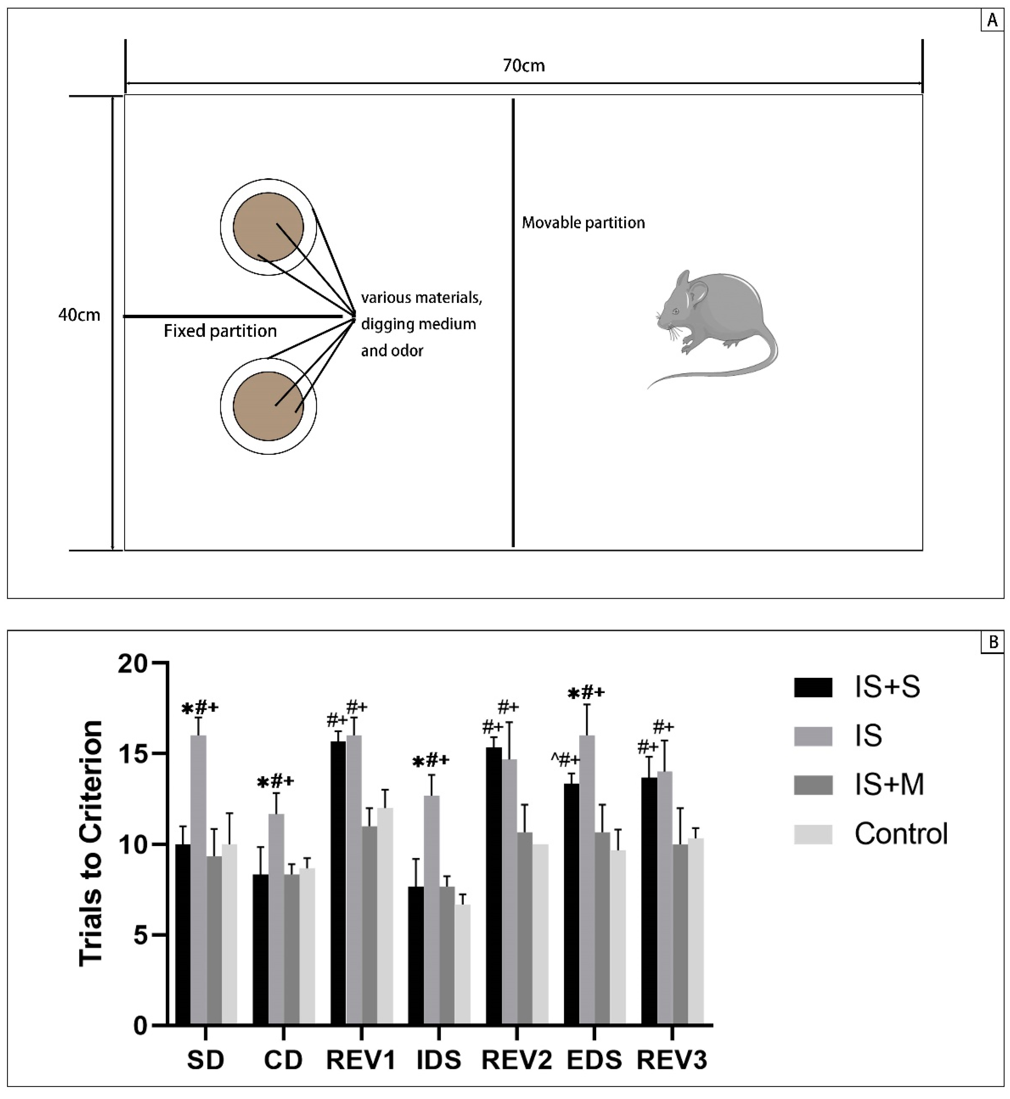 Brainsci 13 00331 g003
