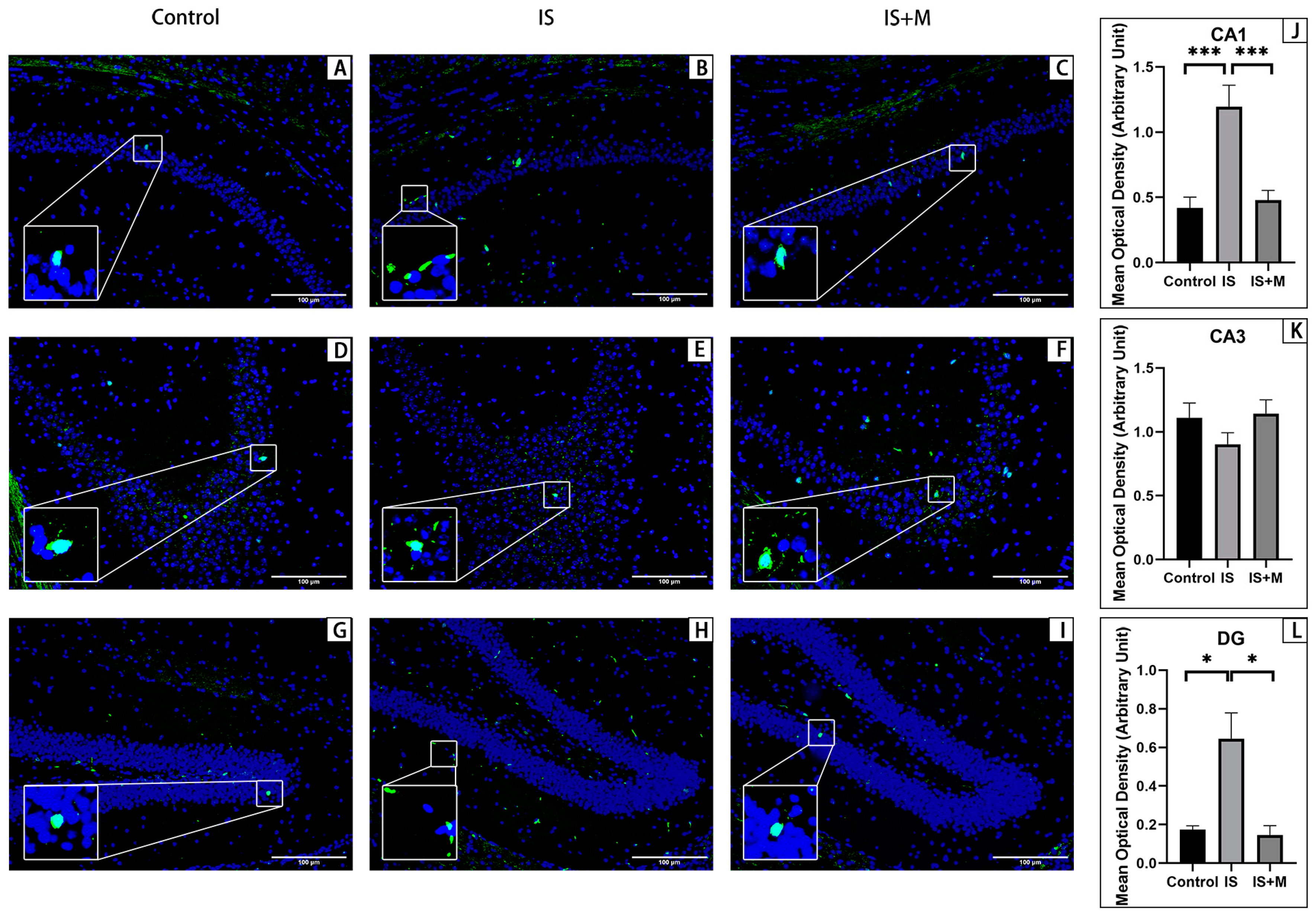 Brainsci 13 00331 g006
