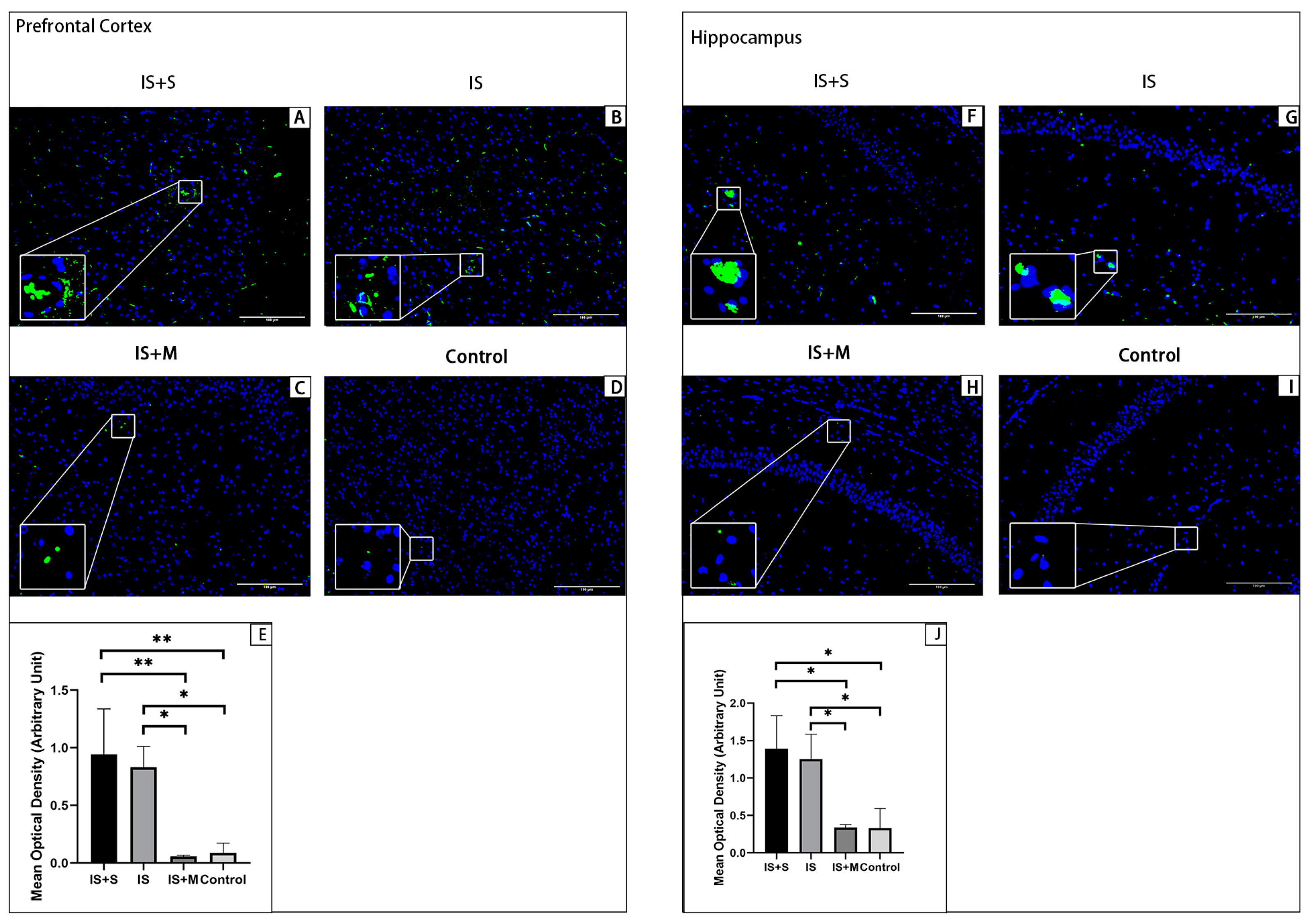 Brainsci 13 00331 g008
