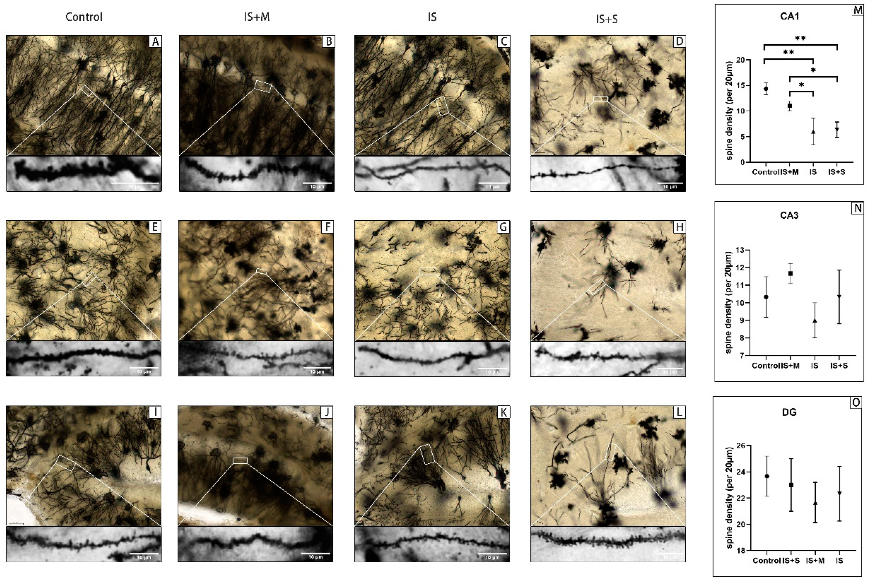Brainsci 13 00331 g011
