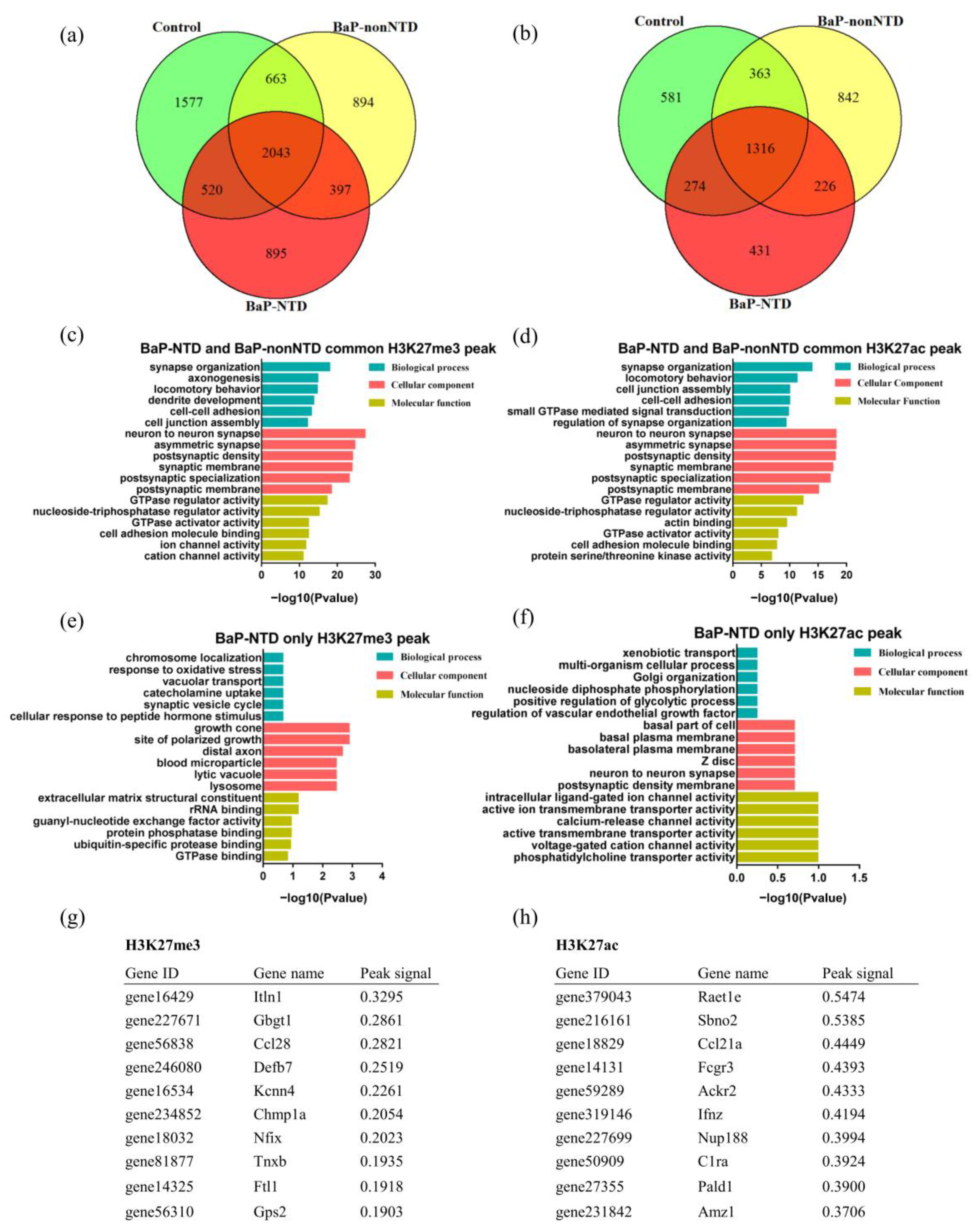 Brainsci 13 00334 g002