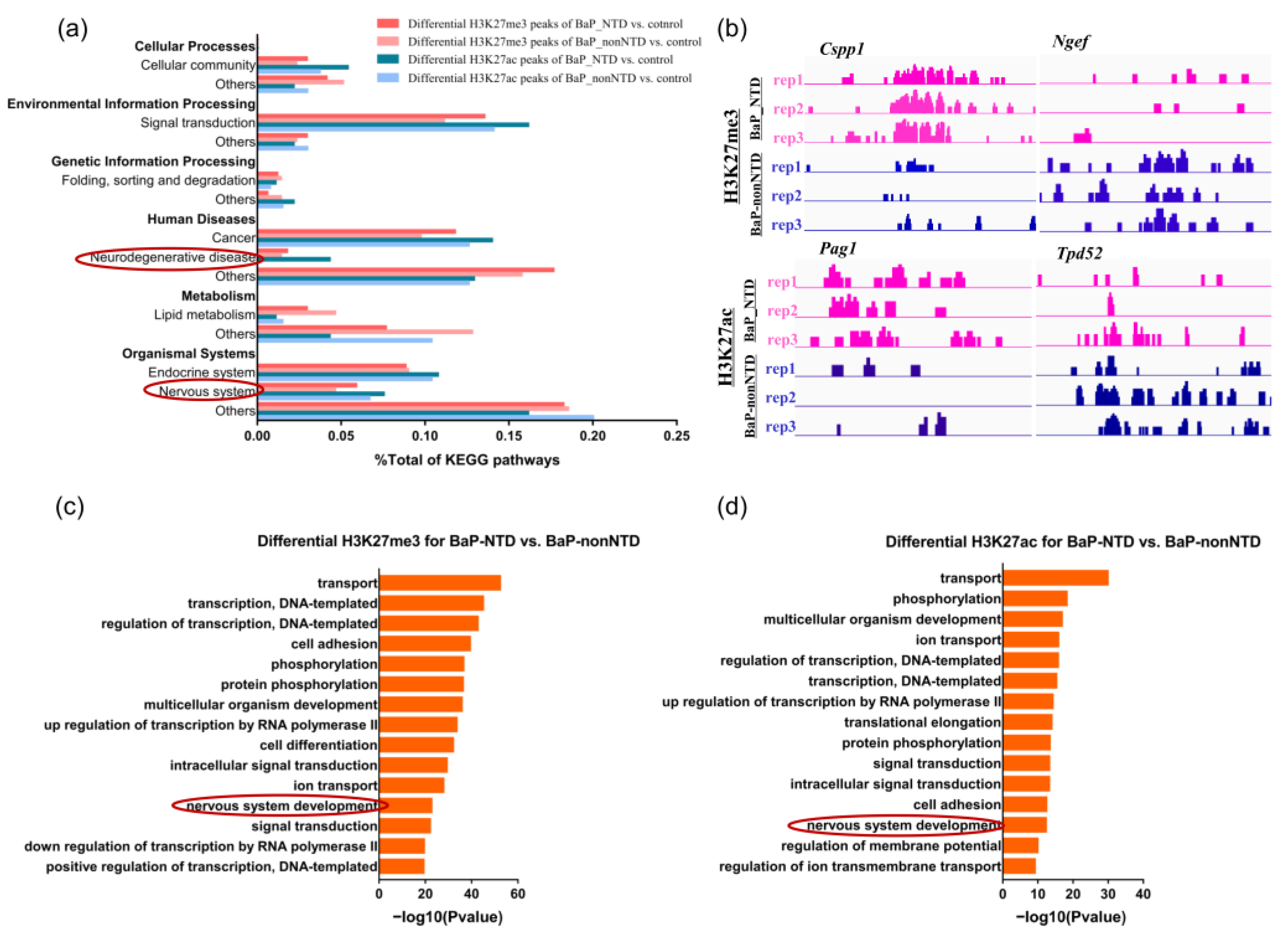 Brainsci 13 00334 g003