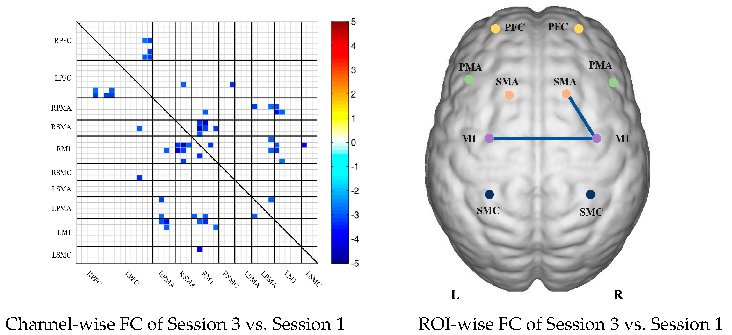 Brainsci 13 00338 g002b