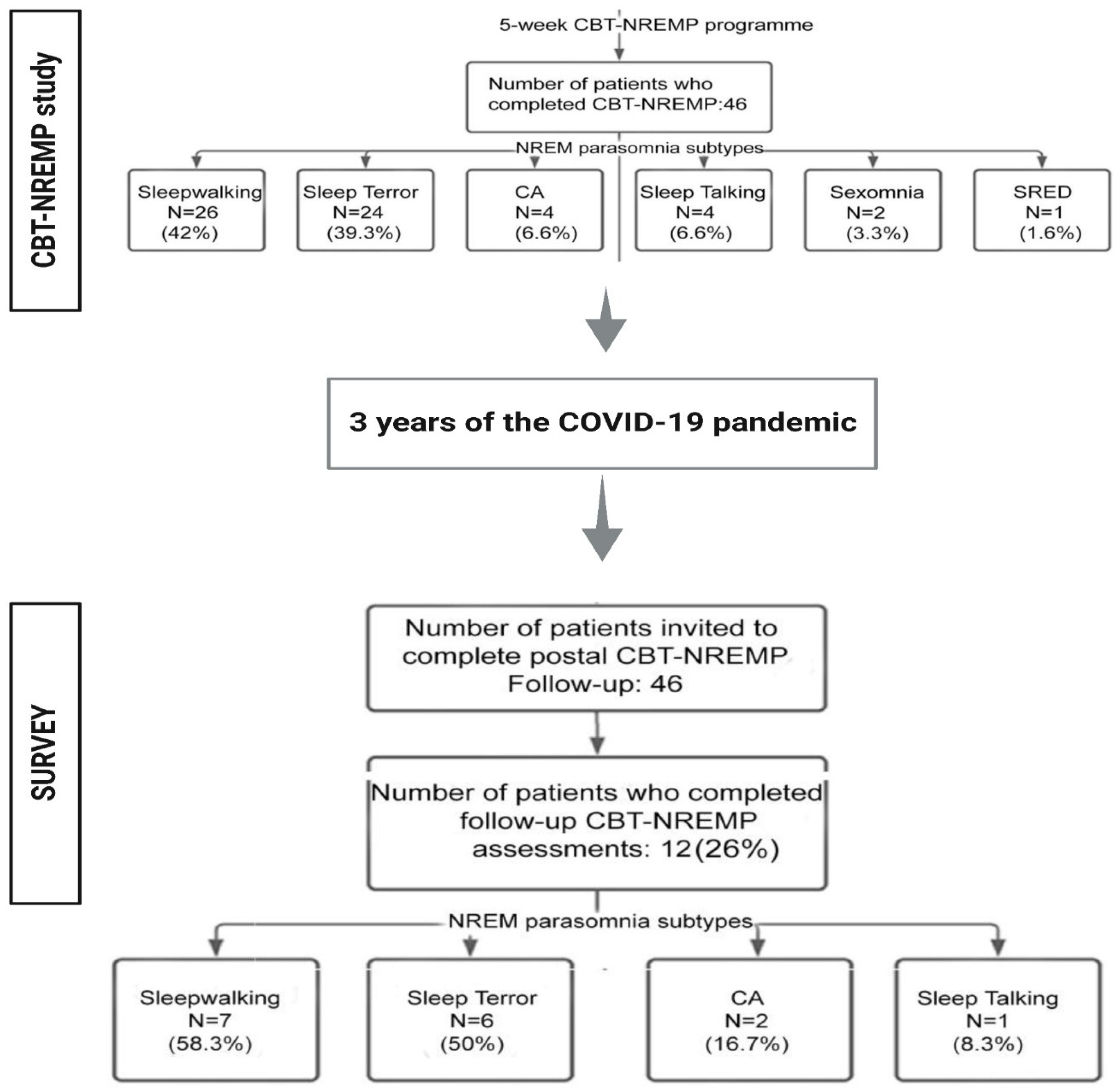 Brainsci 13 00347 g001 Brainsci 13 00347 g001