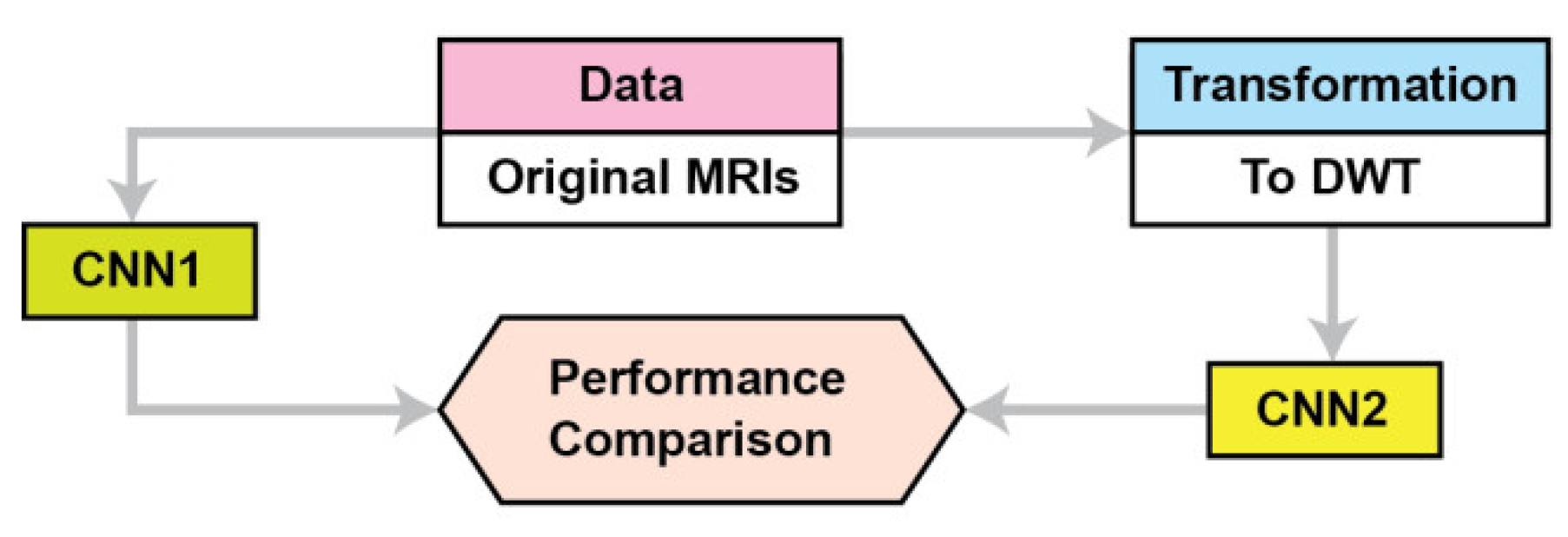Brainsci 13 00348 g001 Brainsci 13 00348 g001