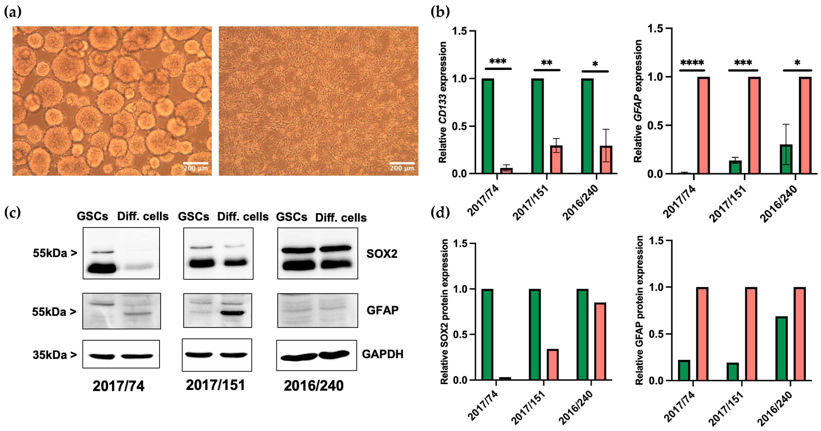 Brainsci 13 00350 g001 Brainsci 13 00350 g001