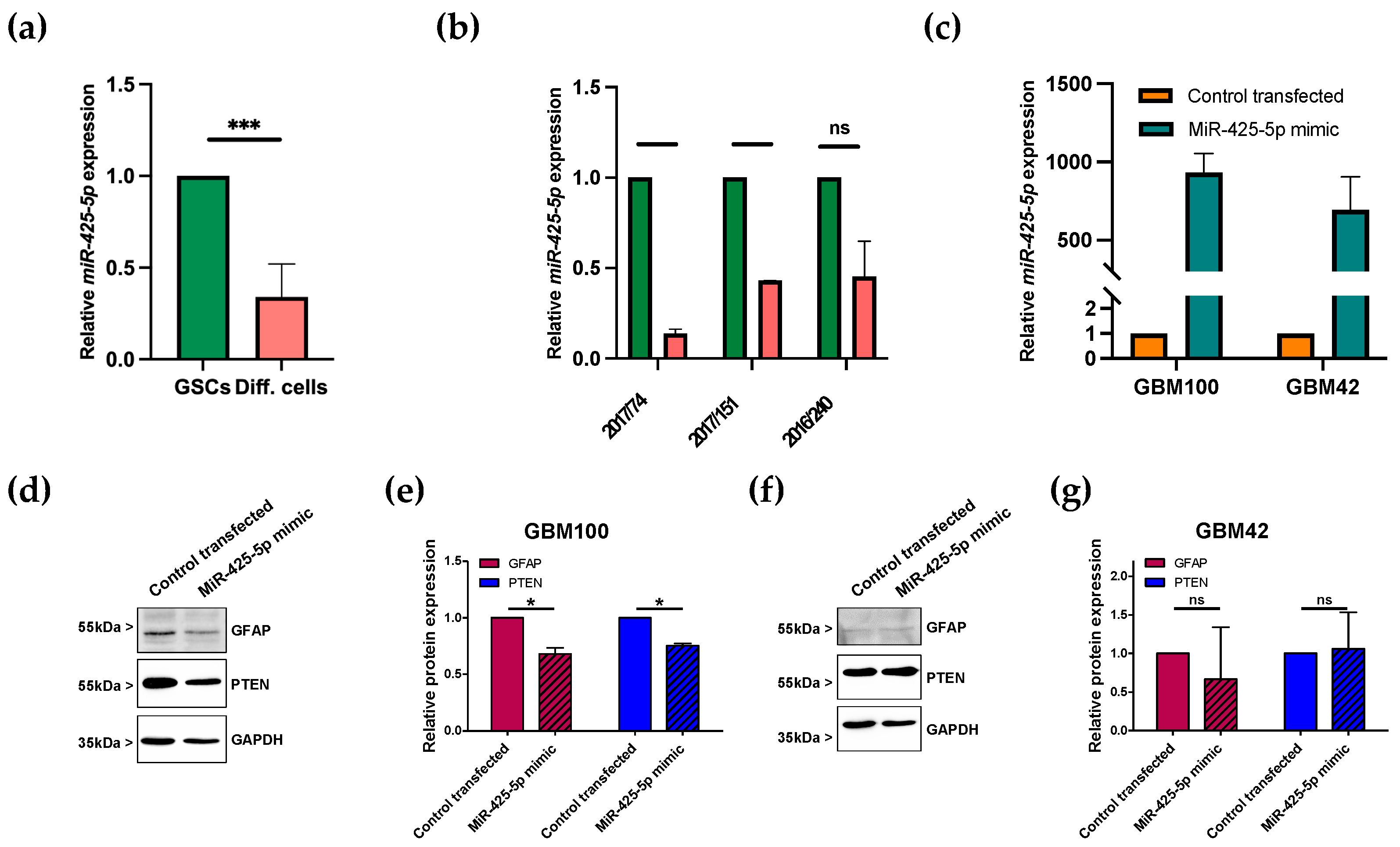 Brainsci 13 00350 g003 Brainsci 13 00350 g003