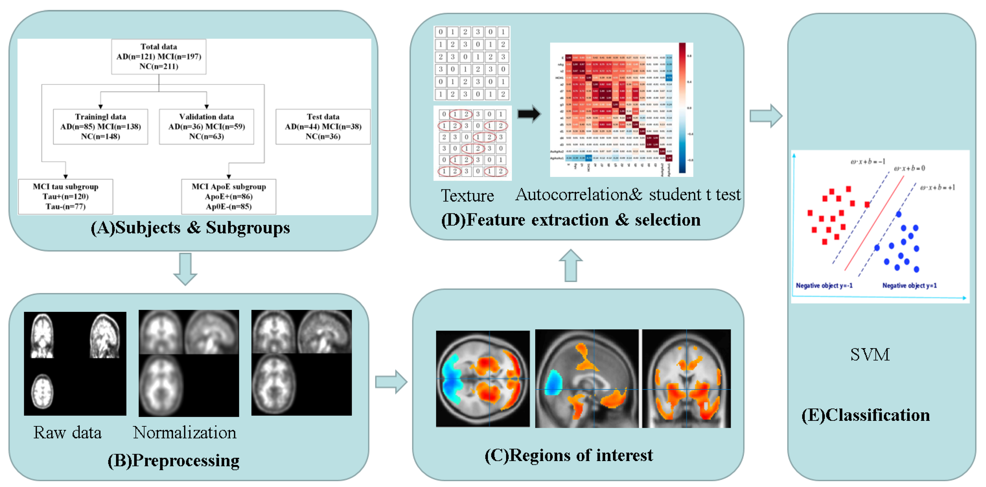 Brainsci 13 00367 g001 Brainsci 13 00367 g001