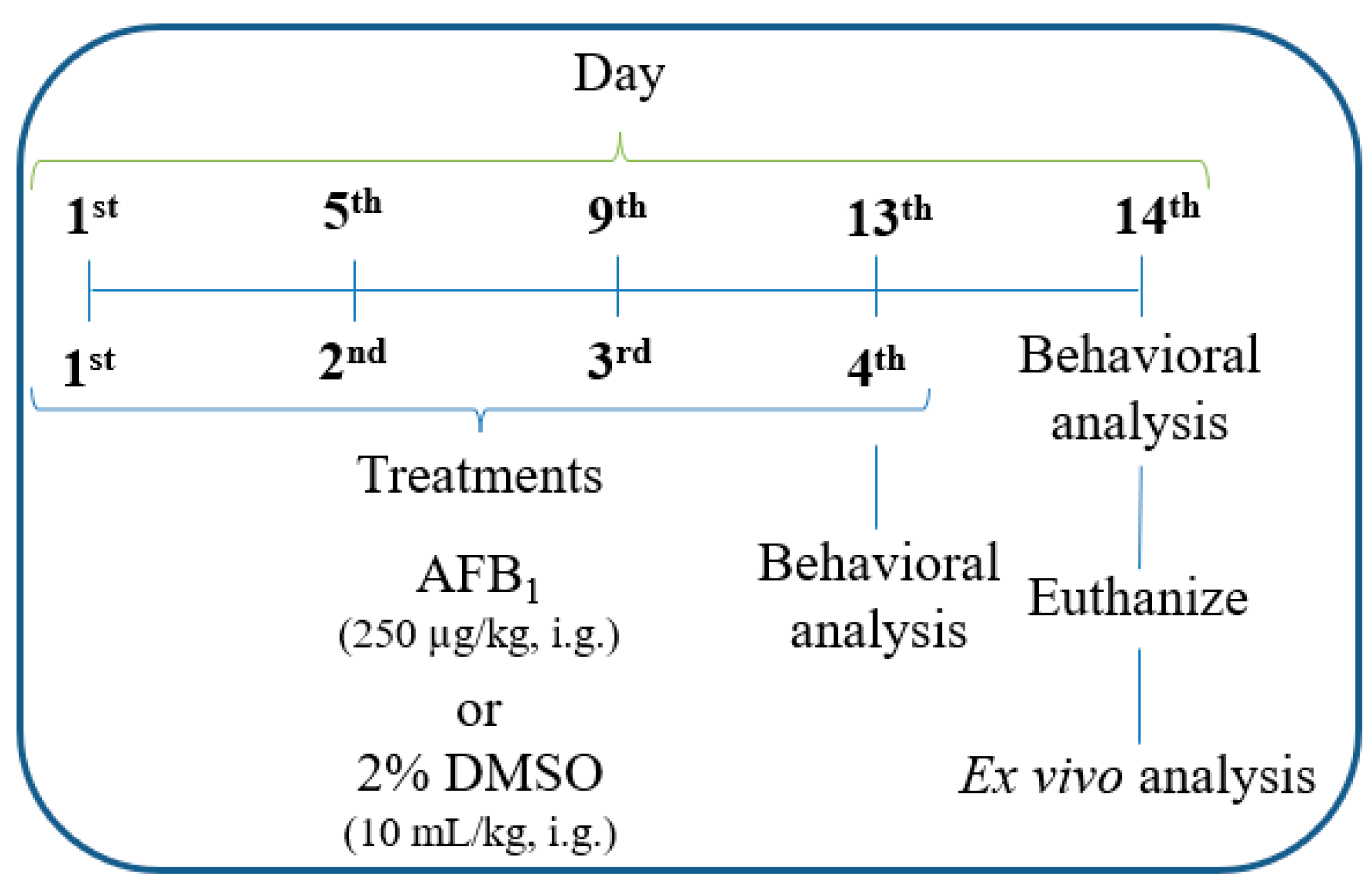 Brainsci 13 00386 g001