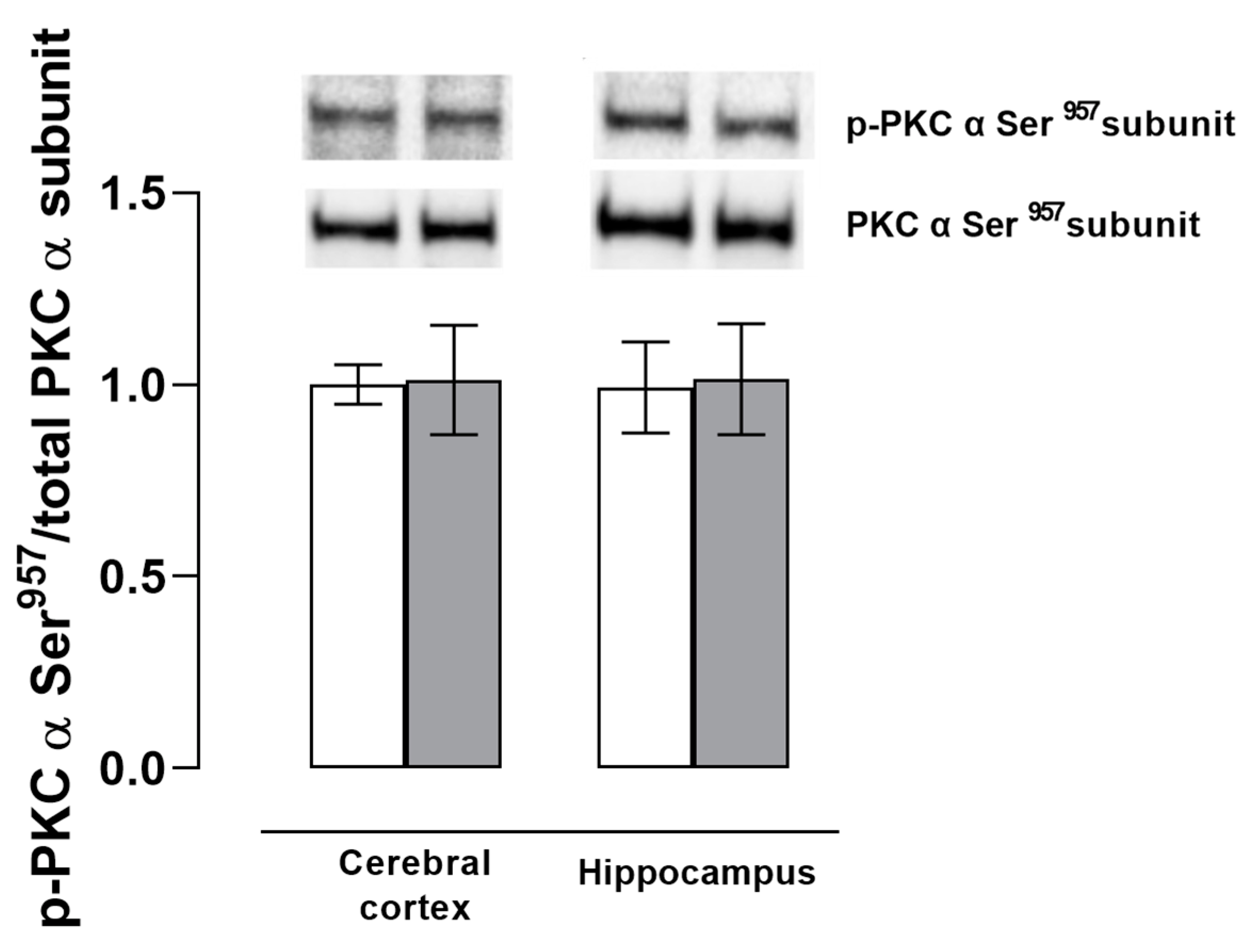 Brainsci 13 00386 g003