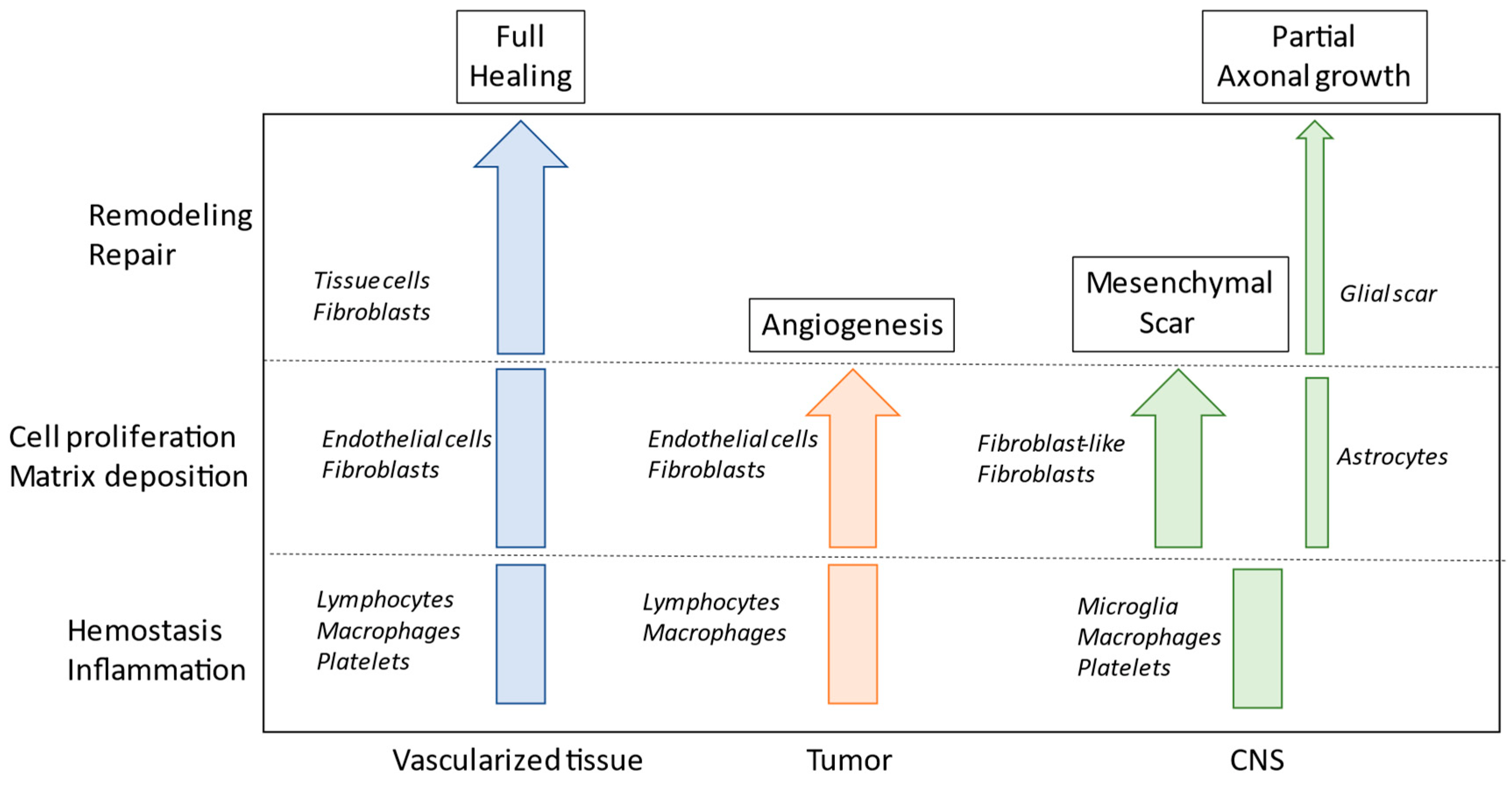 Brainsci 13 00398 g002 Brainsci 13 00398 g002