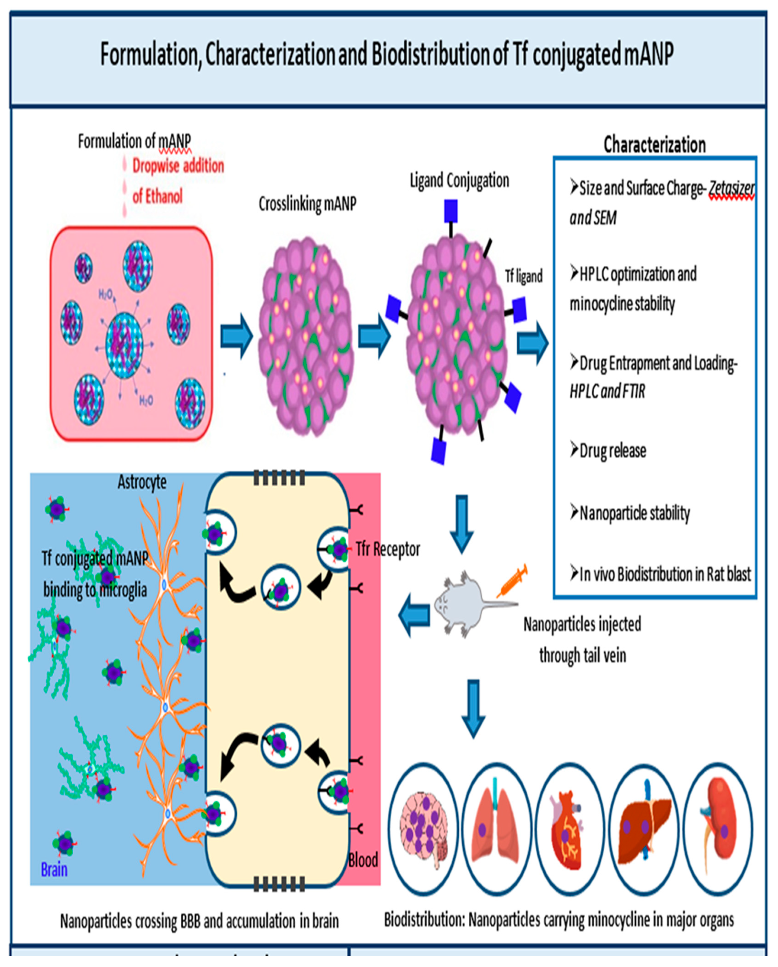 Brainsci 13 00402 g001