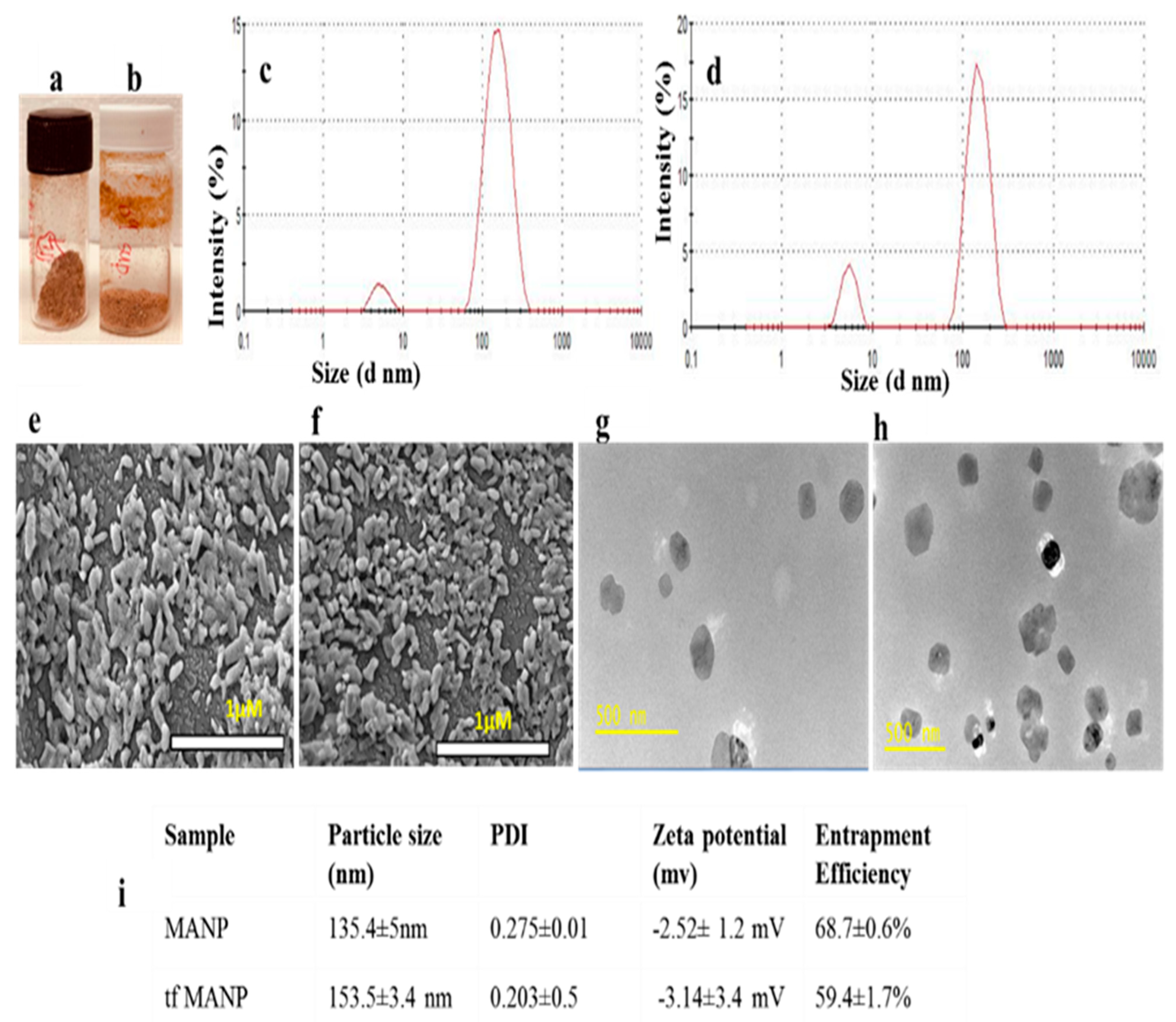Brainsci 13 00402 g002