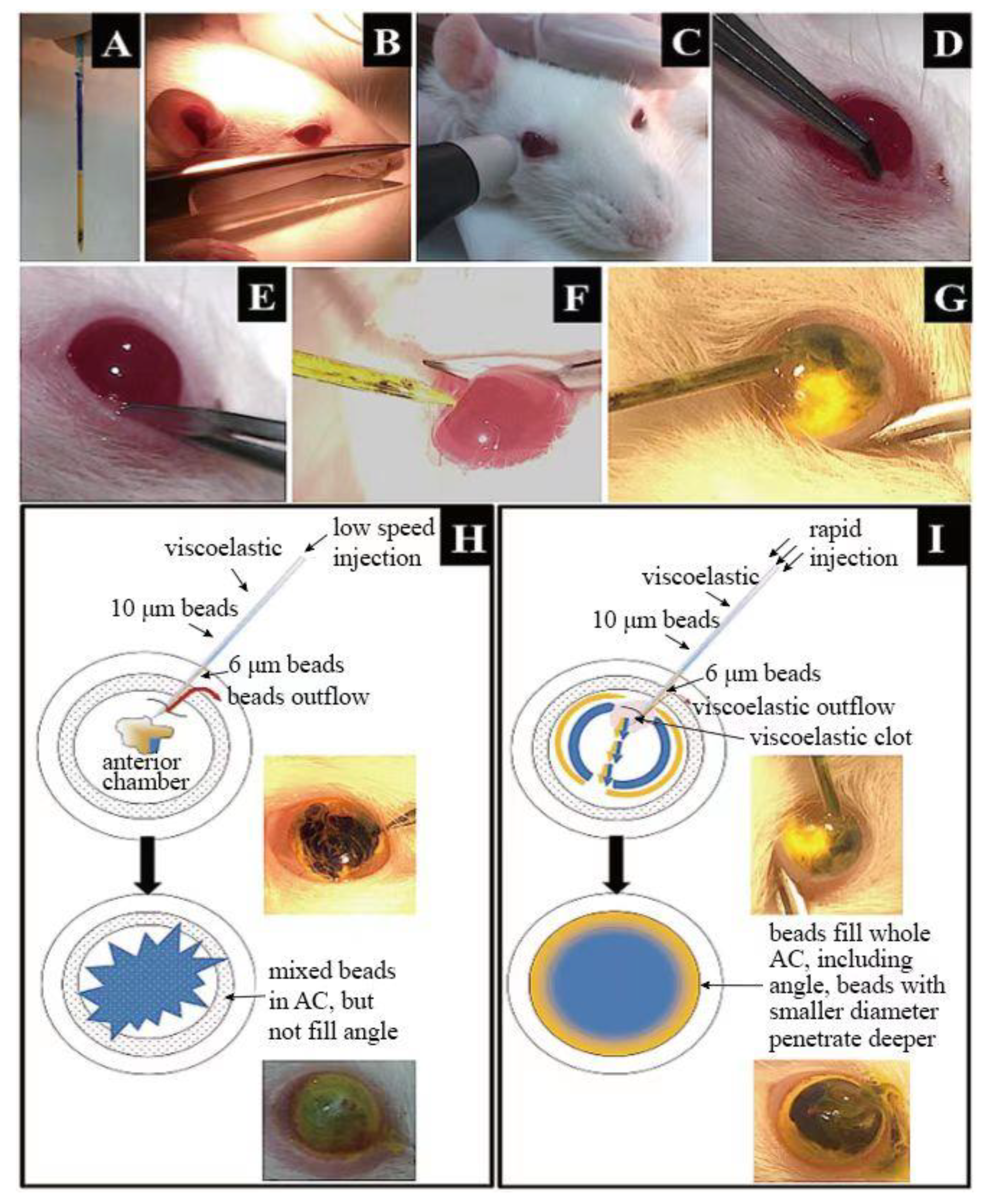 Brainsci 13 00404 g001