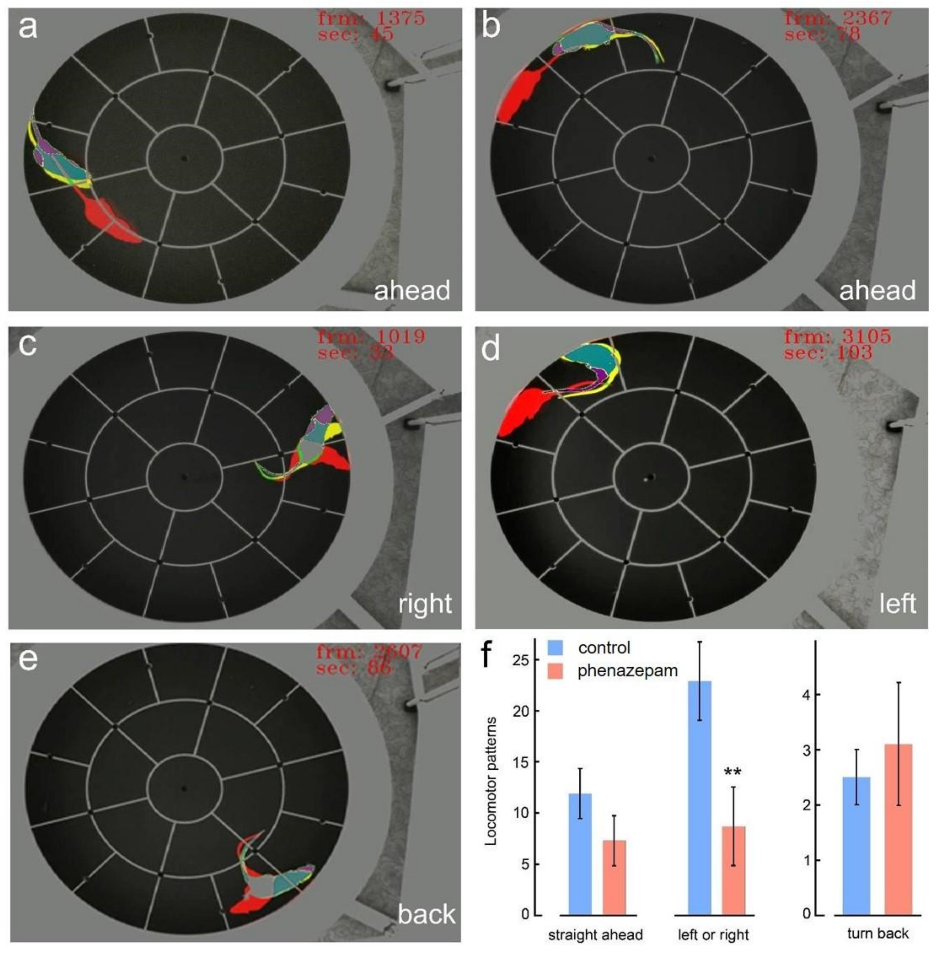 Brainsci 13 00408 g002 Brainsci 13 00408 g002