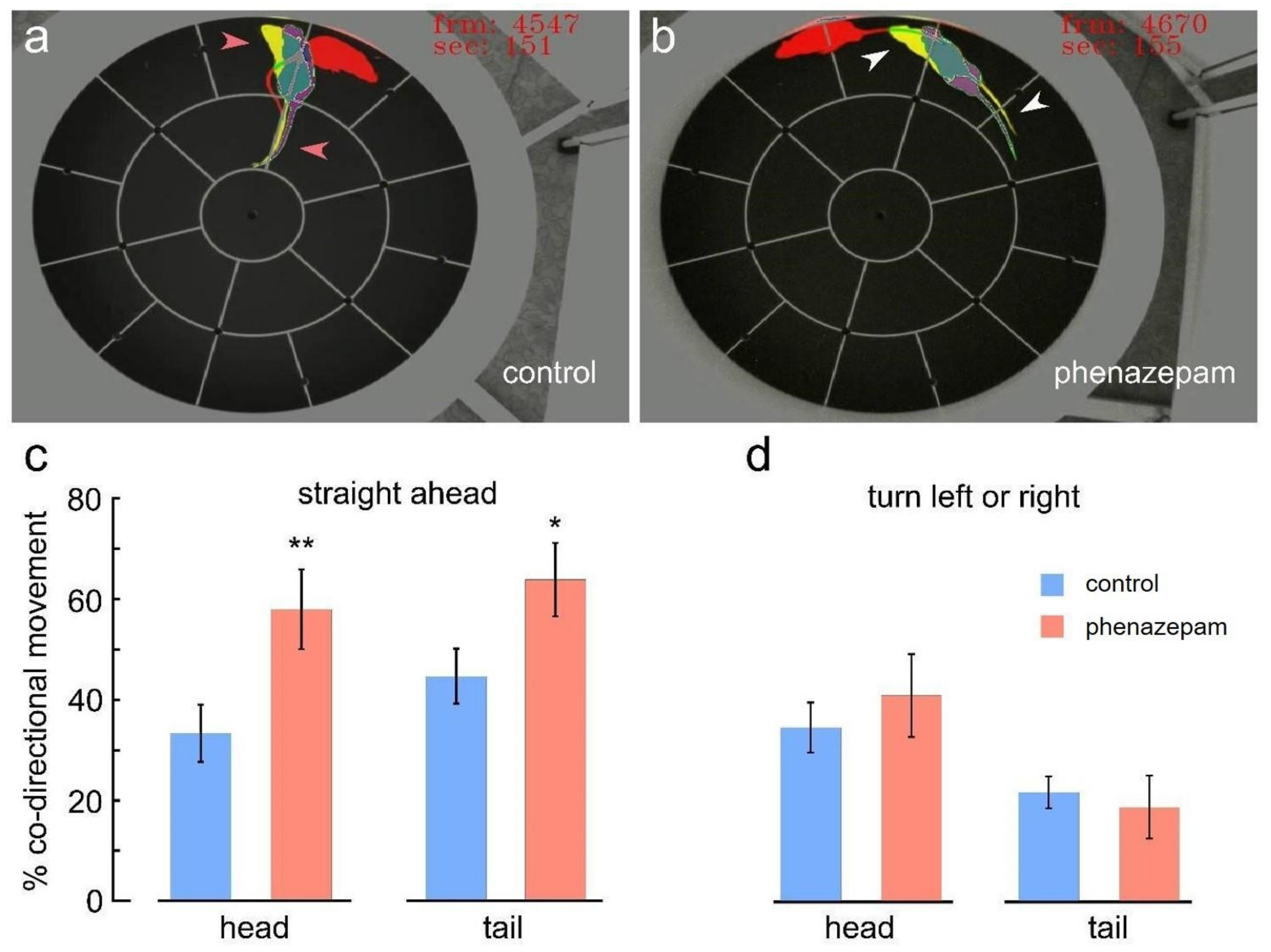 Brainsci 13 00408 g004 Brainsci 13 00408 g004