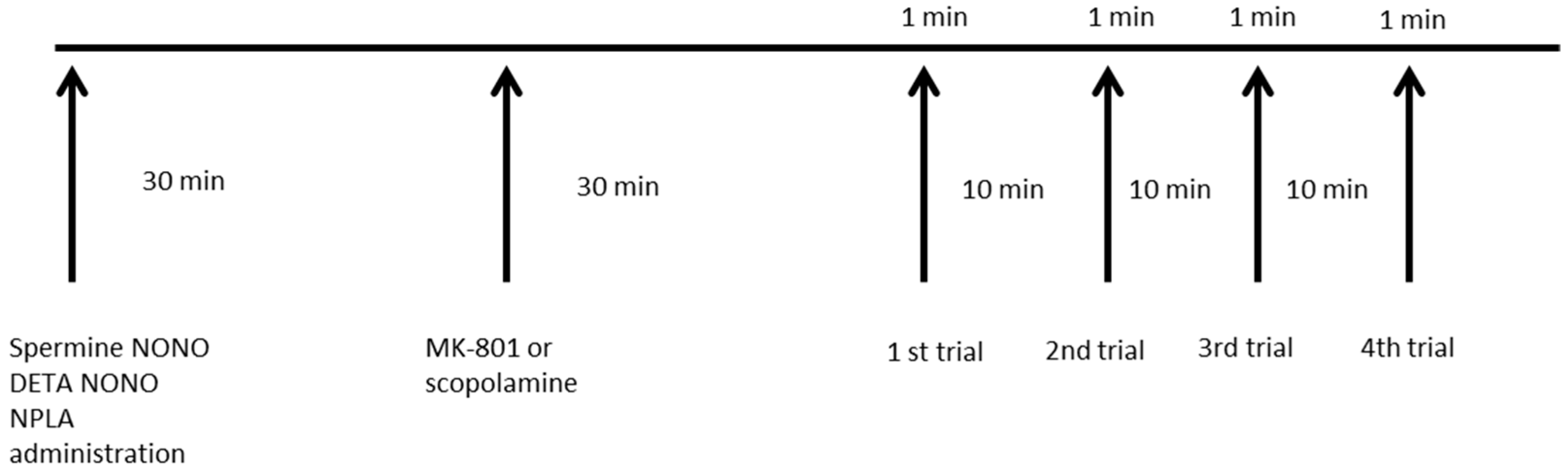 Brainsci 13 00410 g002 Brainsci 13 00410 g002