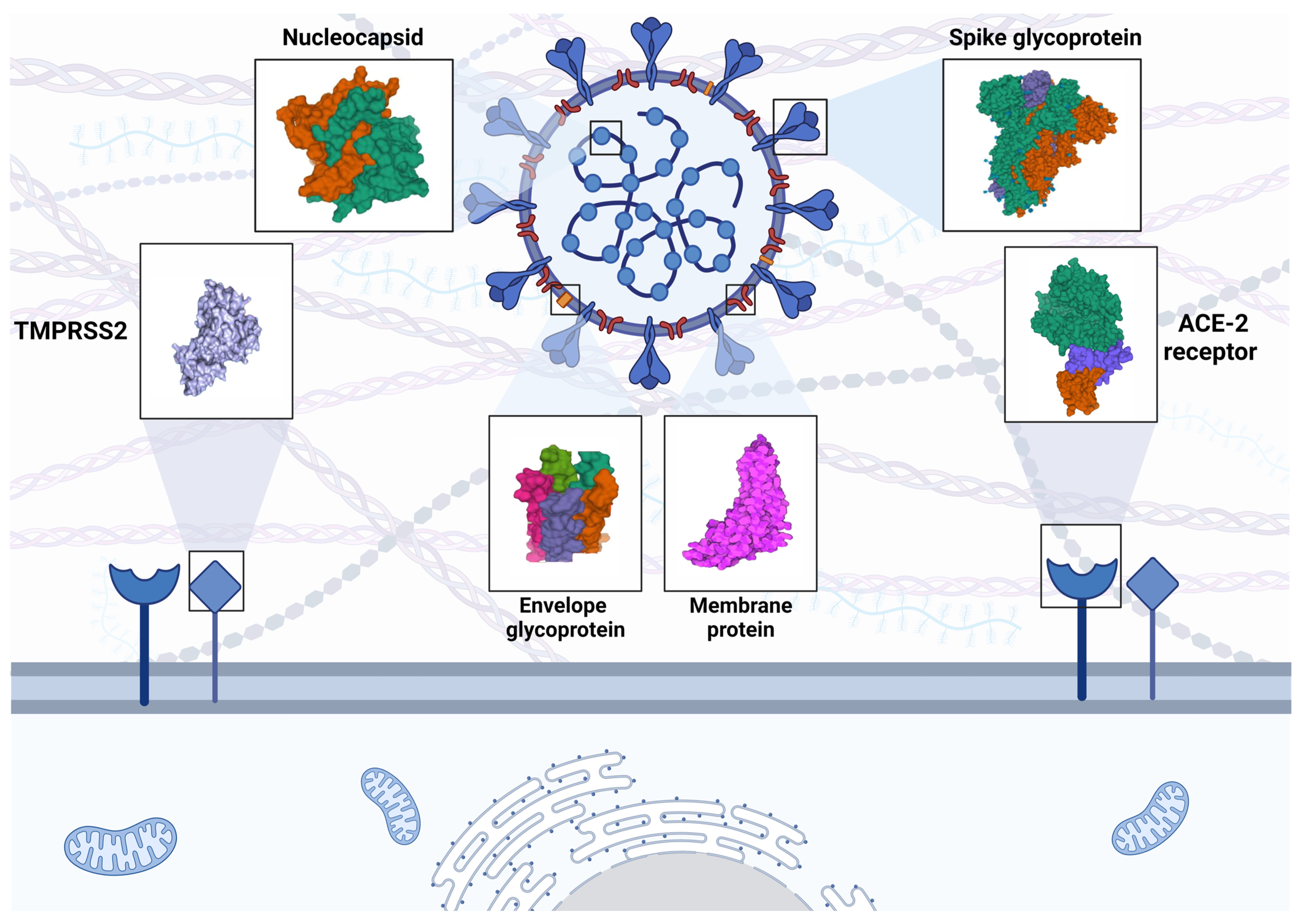 Brainsci 13 00415 g001