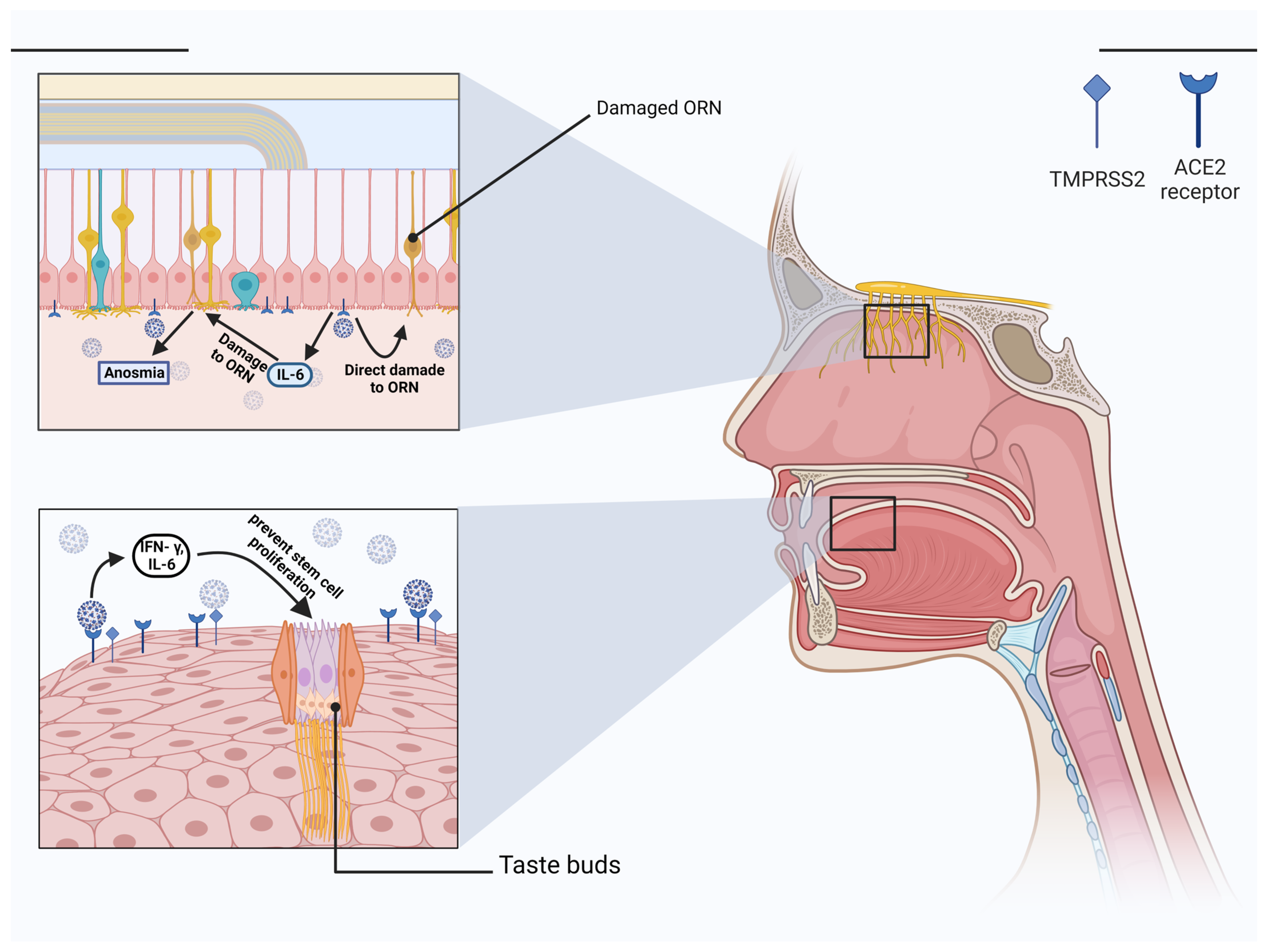 Brainsci 13 00415 g002