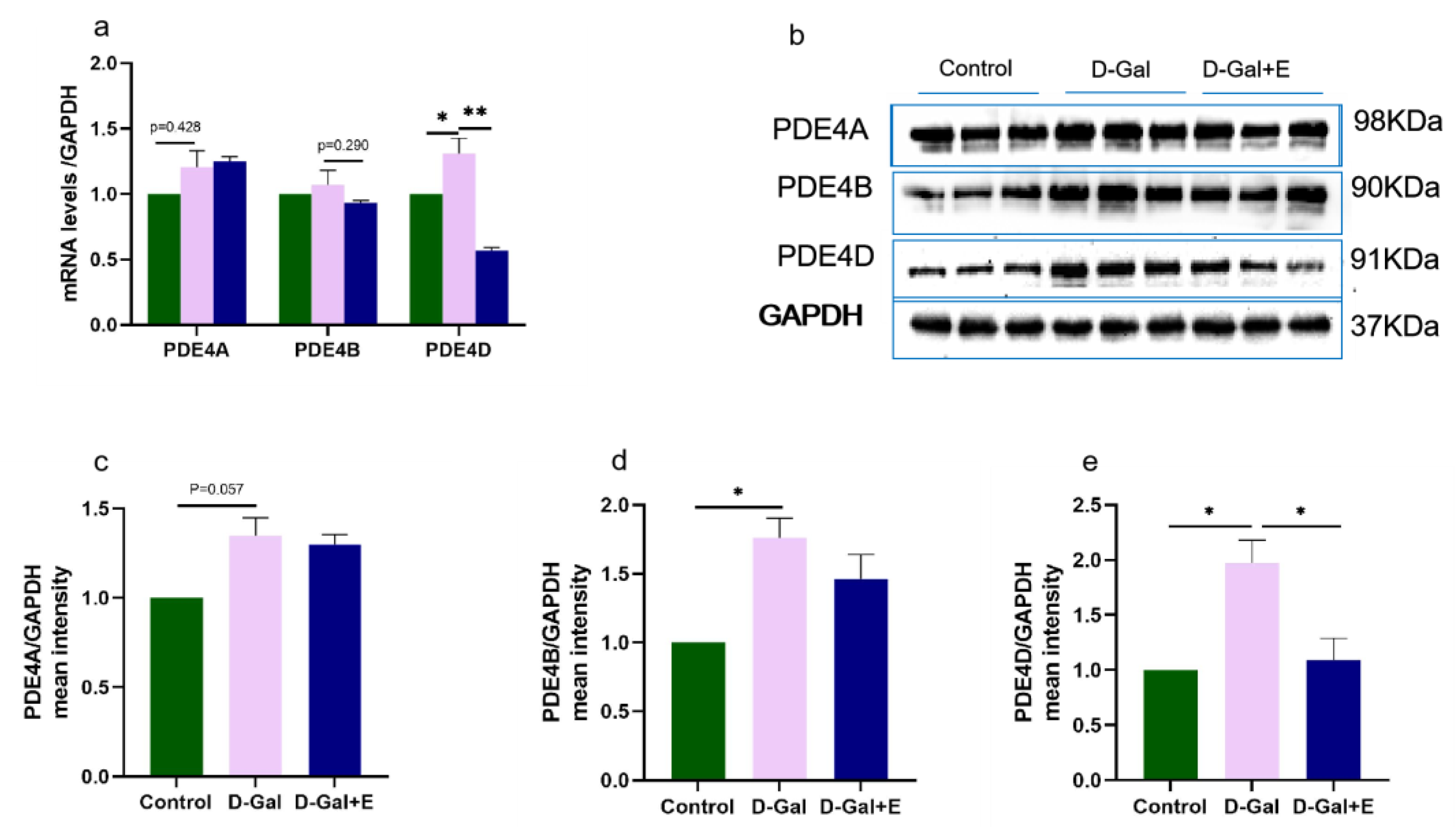Brainsci 13 00422 g004 Brainsci 13 00422 g004