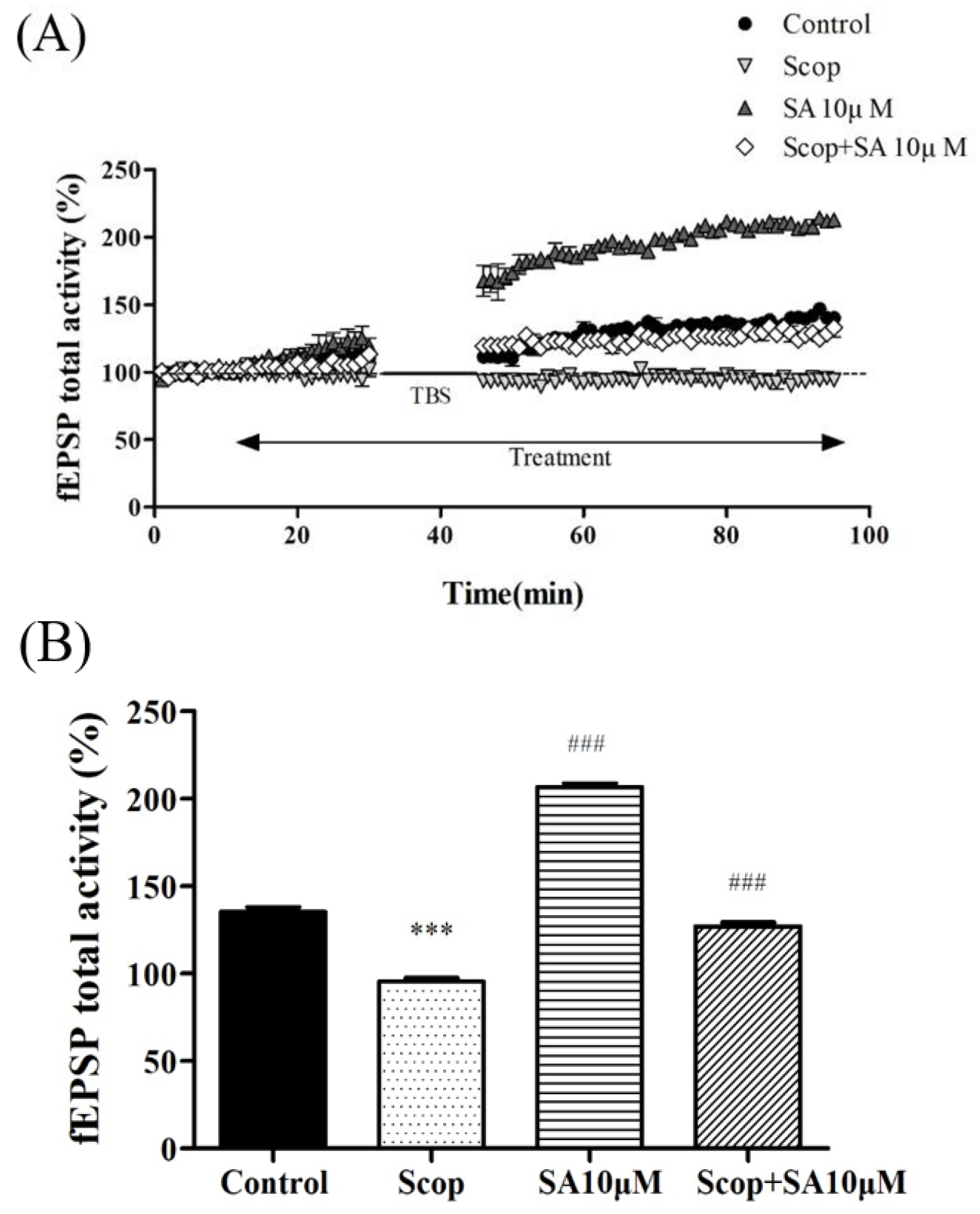 Brainsci 13 00427 g003