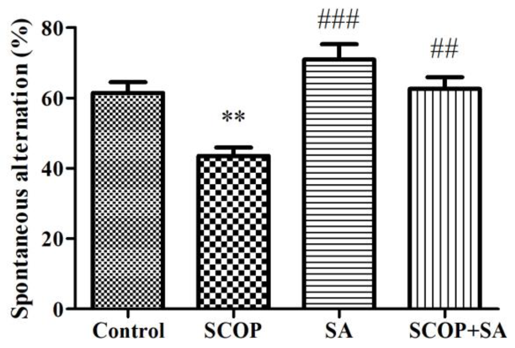 Brainsci 13 00427 g004
