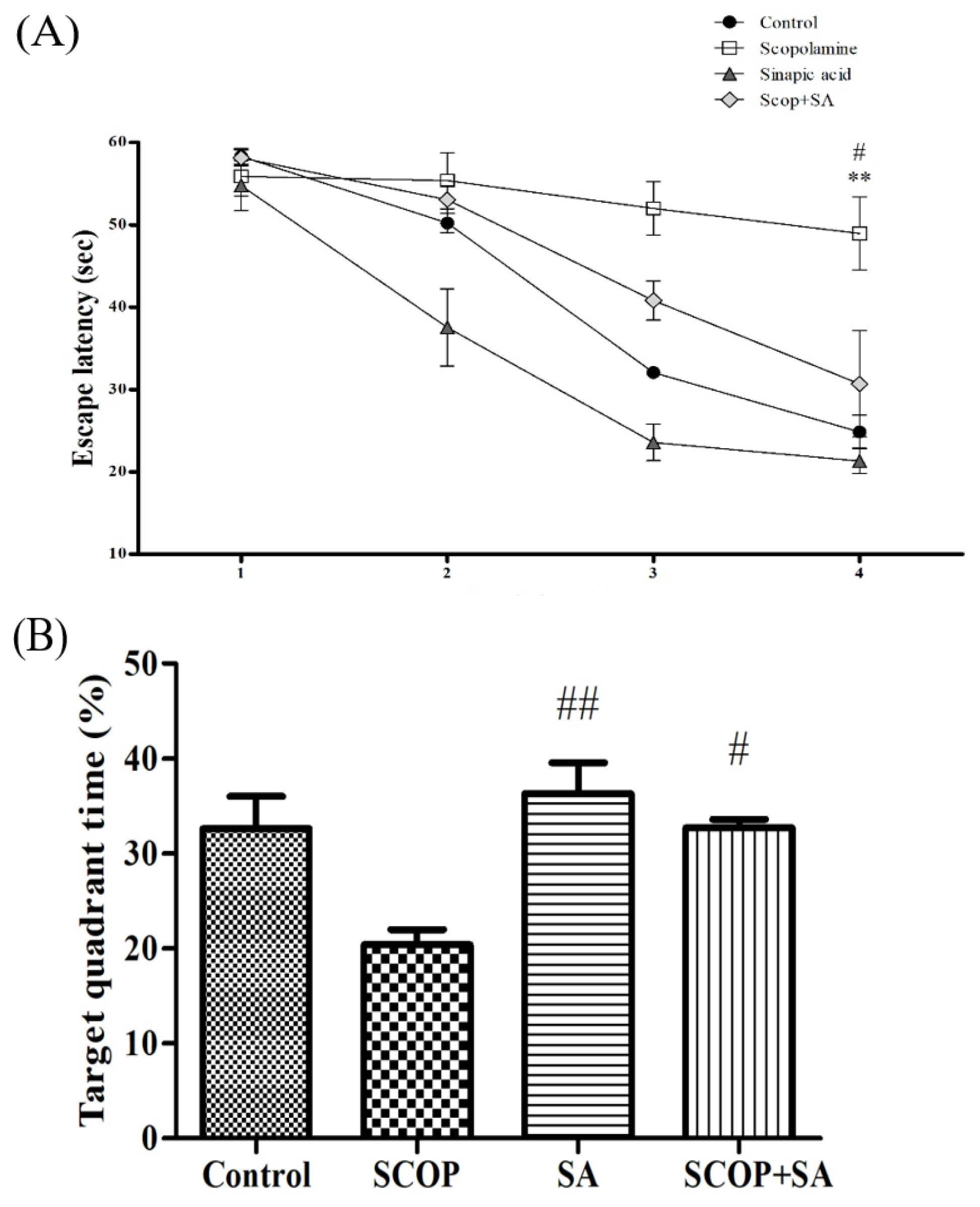 Brainsci 13 00427 g006