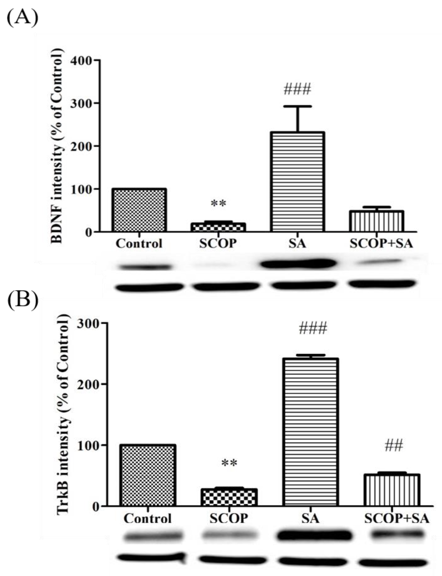Brainsci 13 00427 g007