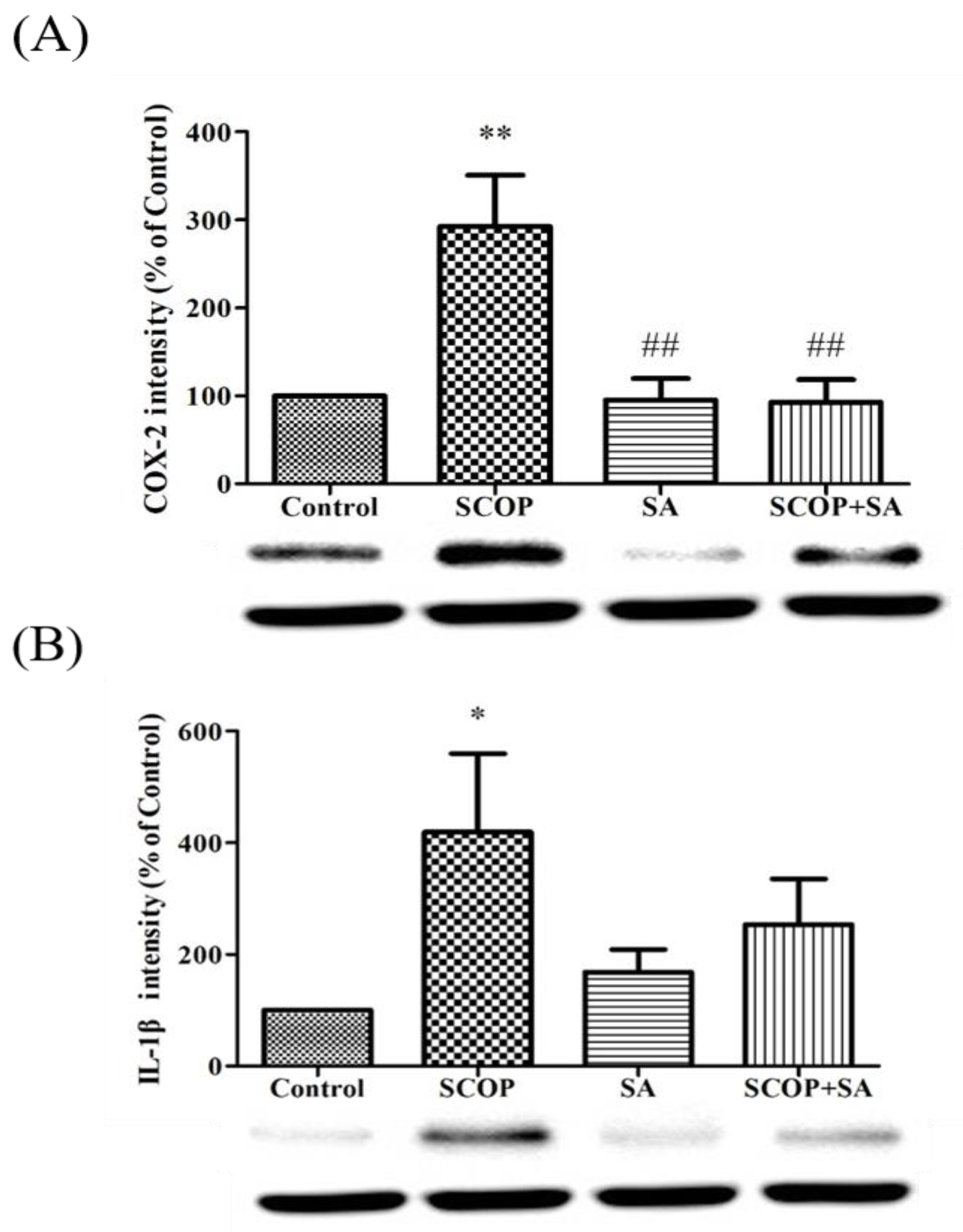 Brainsci 13 00427 g008