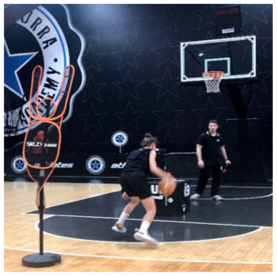 Brainsci 13 00443 g001 Brainsci 13 00443 g001