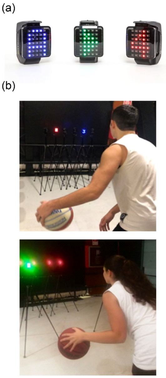 Brainsci 13 00443 g002 Brainsci 13 00443 g002