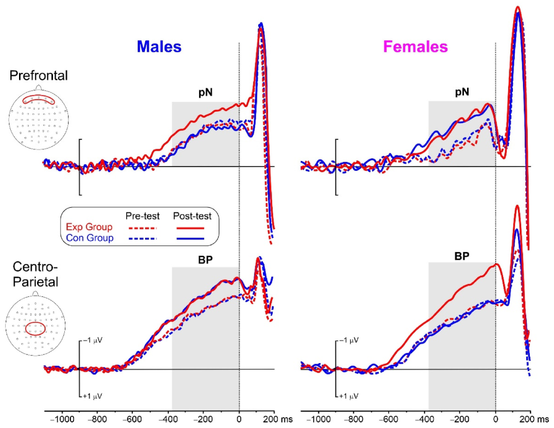Brainsci 13 00443 g005 Brainsci 13 00443 g005