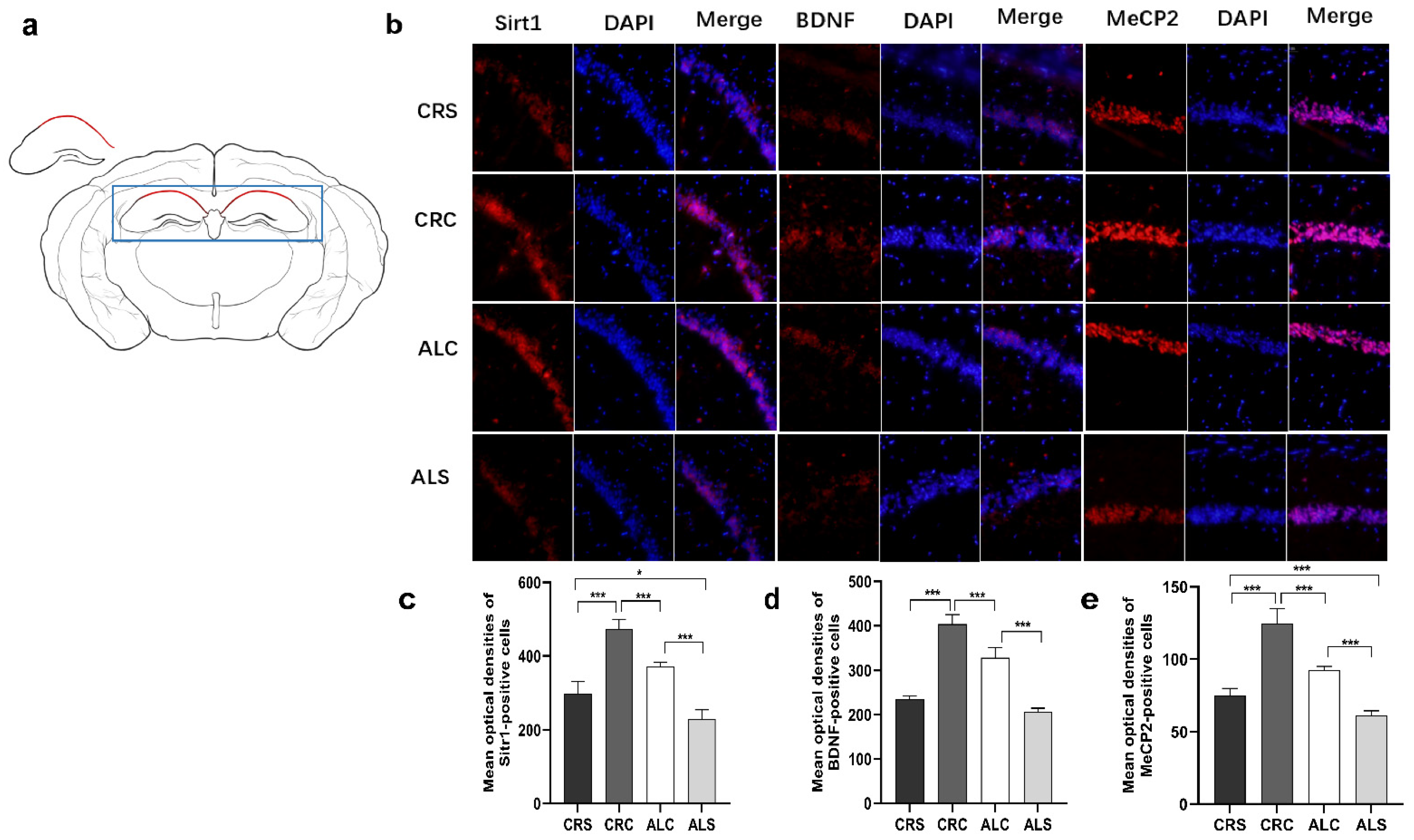 Brainsci 13 00462 g004
