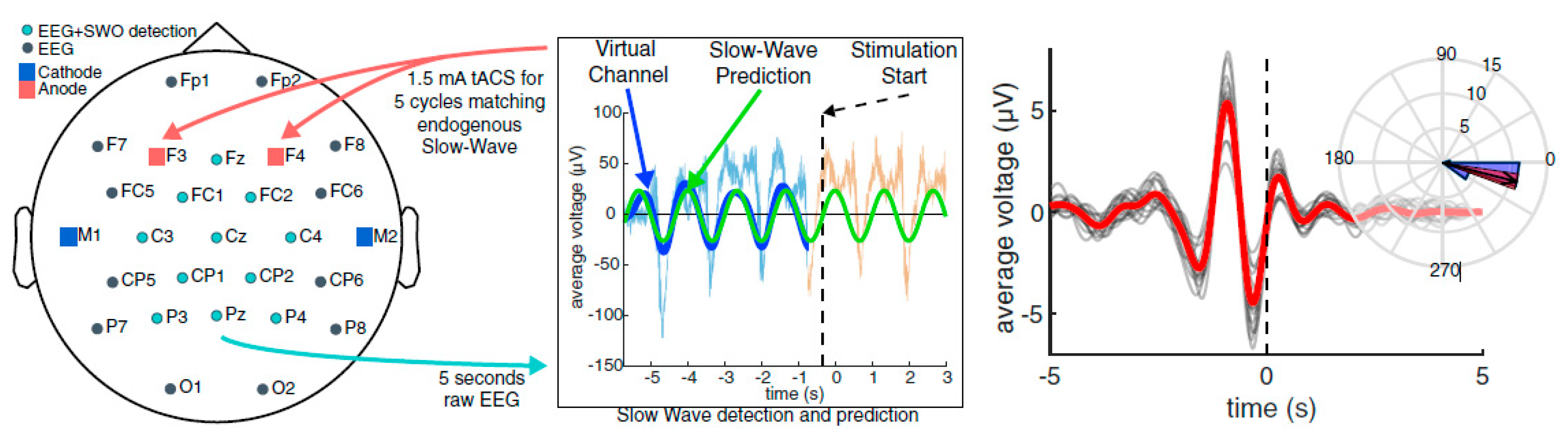 Brainsci 13 00468 g002