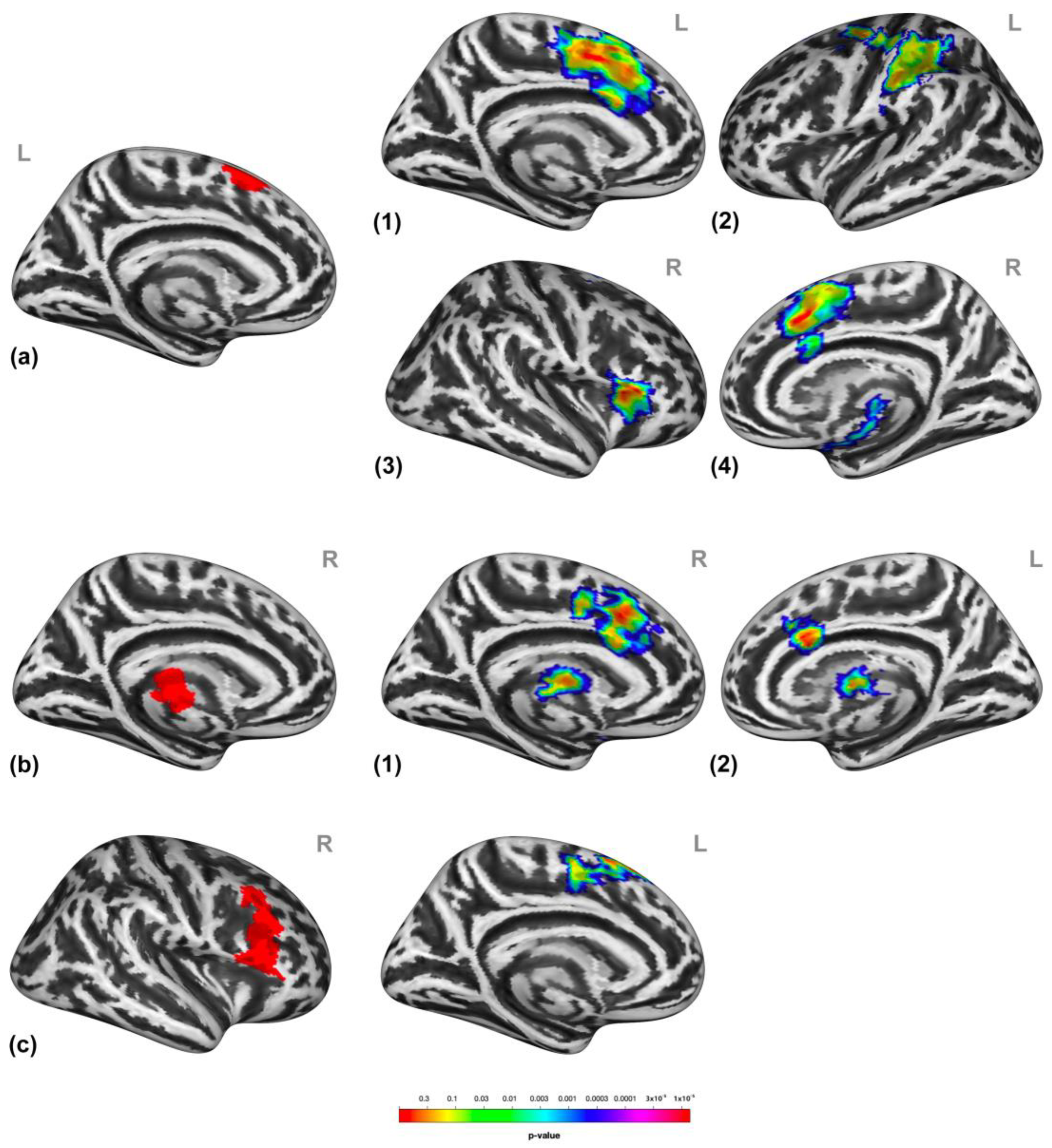 Brainsci 13 00474 g005