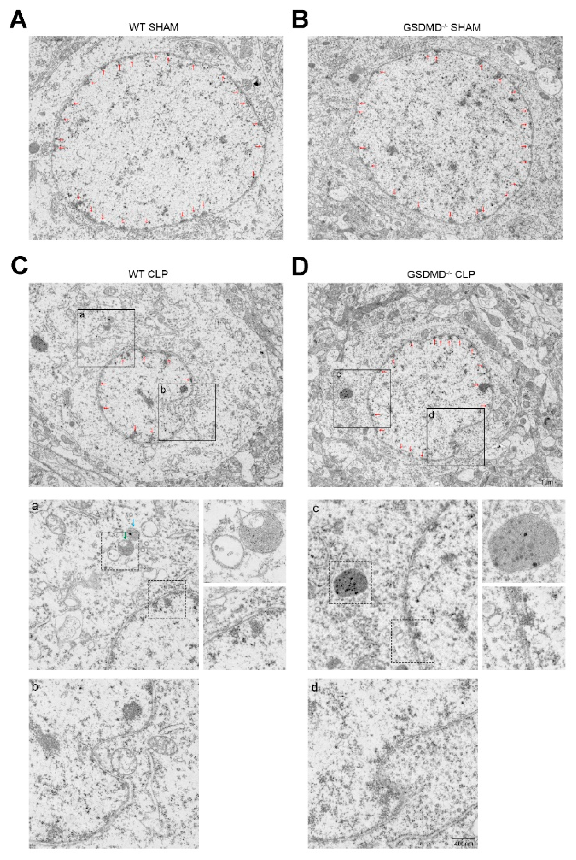 Brainsci 13 00478 g002 Brainsci 13 00478 g002