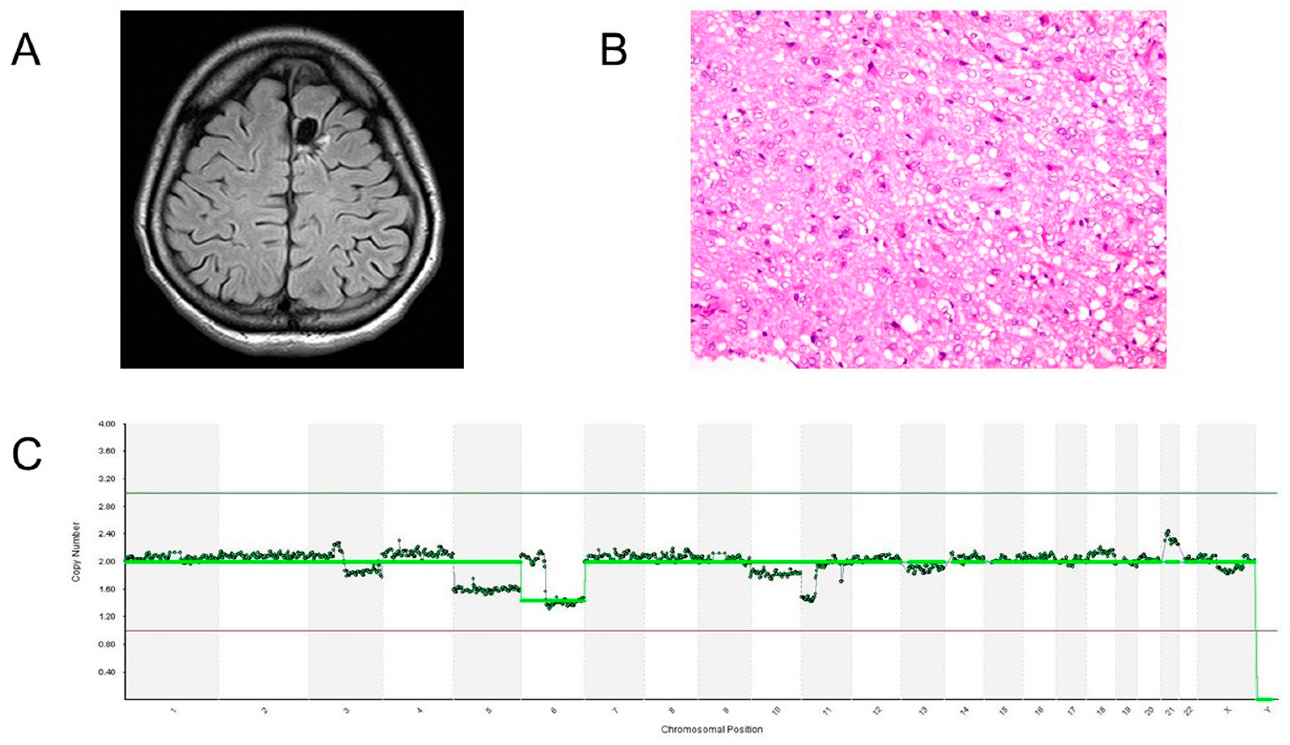 Brainsci 13 00482 g005